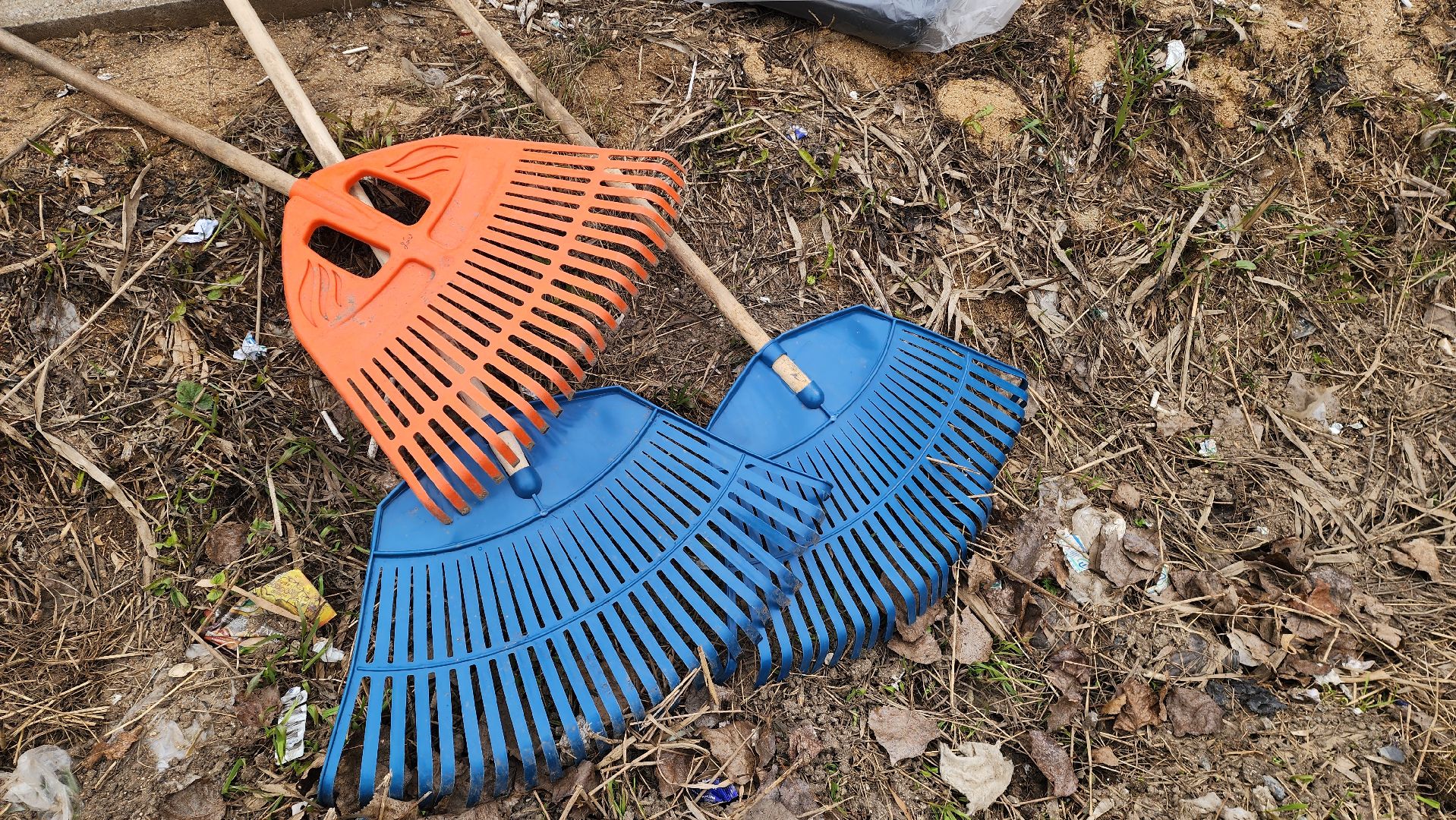 красногорск, субботник,