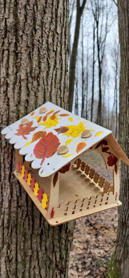 электросталь, парки подмосковья, парки мо, парки Электростали, день птиц, концерт, жители города, мой город,