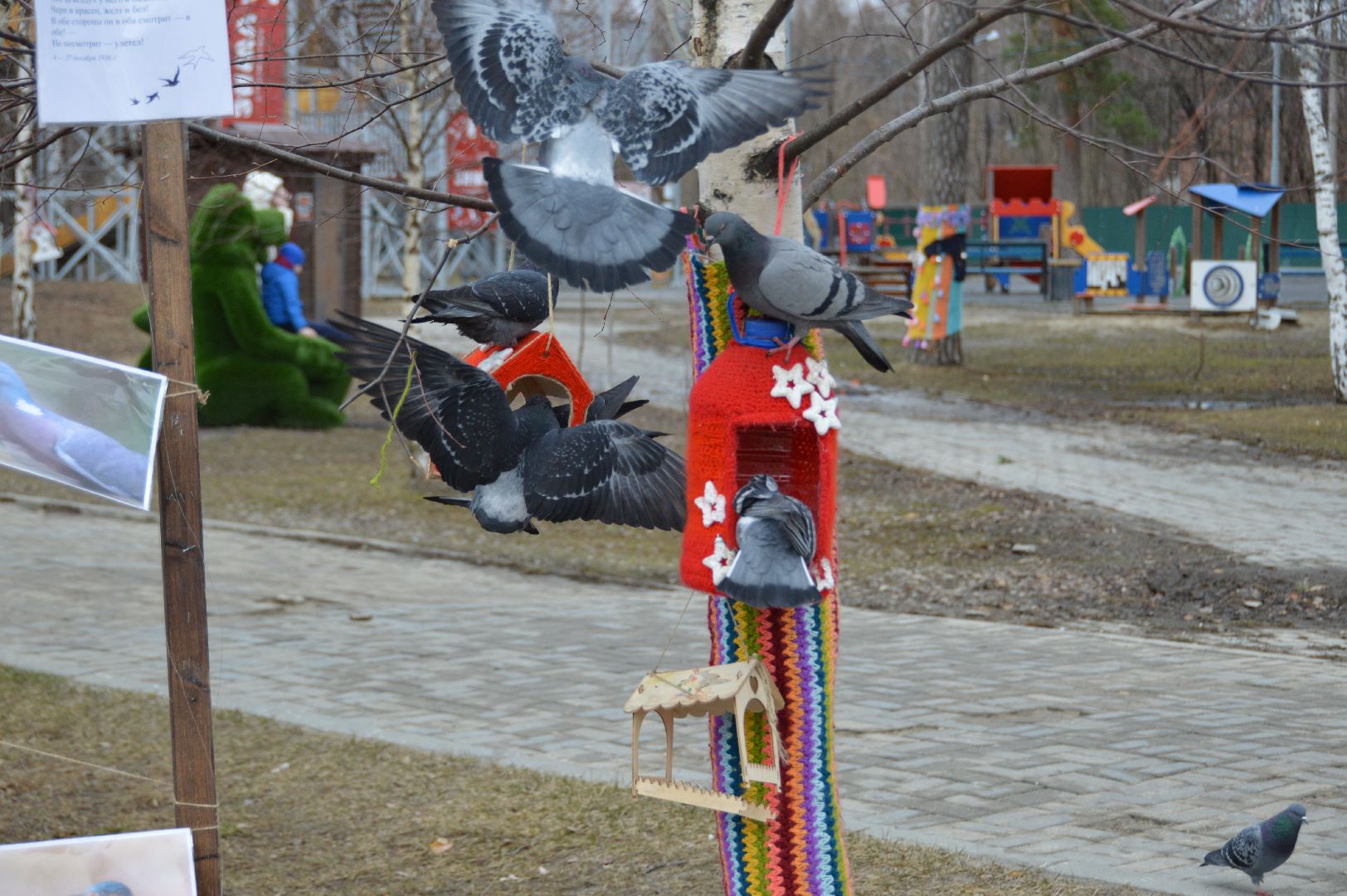 шатура, покормите птиц зимой, парк, парки подмосковья ., парки шатуры, международная акция, кормушки,