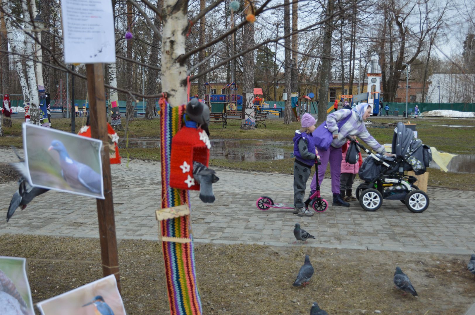 шатура, покормите птиц зимой, парк, парки подмосковья ., парки шатуры, международная акция, кормушки,