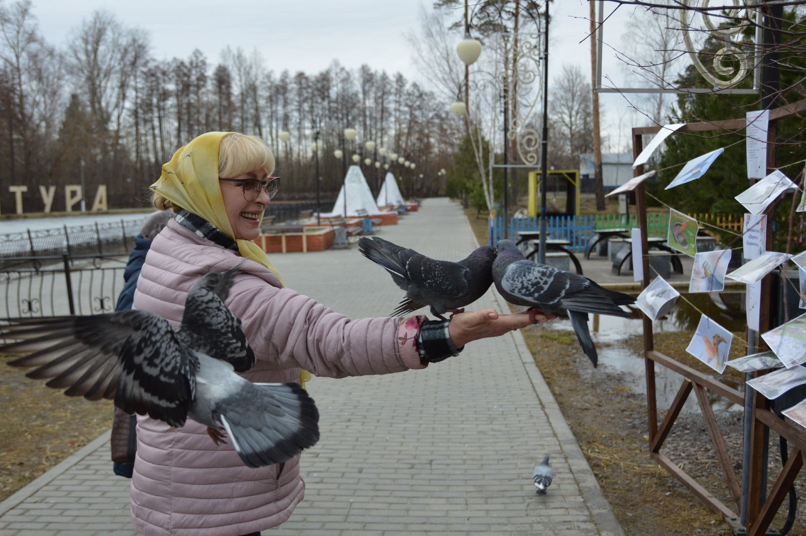 шатура, покормите птиц зимой, парк, парки подмосковья ., парки шатуры, международная акция, кормушки,