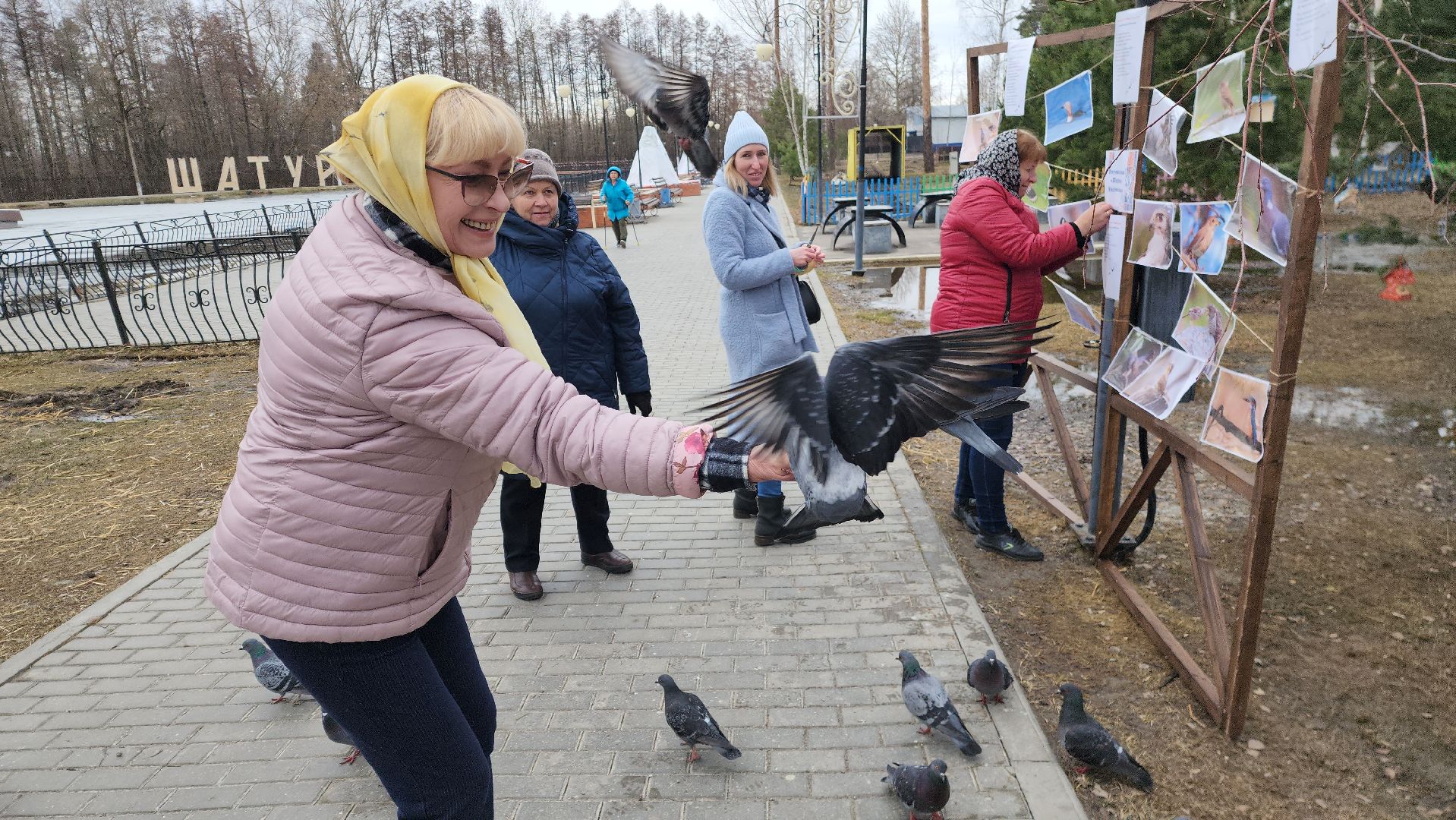 шатура, покормите птиц зимой, парк, парки подмосковья ., парки шатуры, международная акция, кормушки,