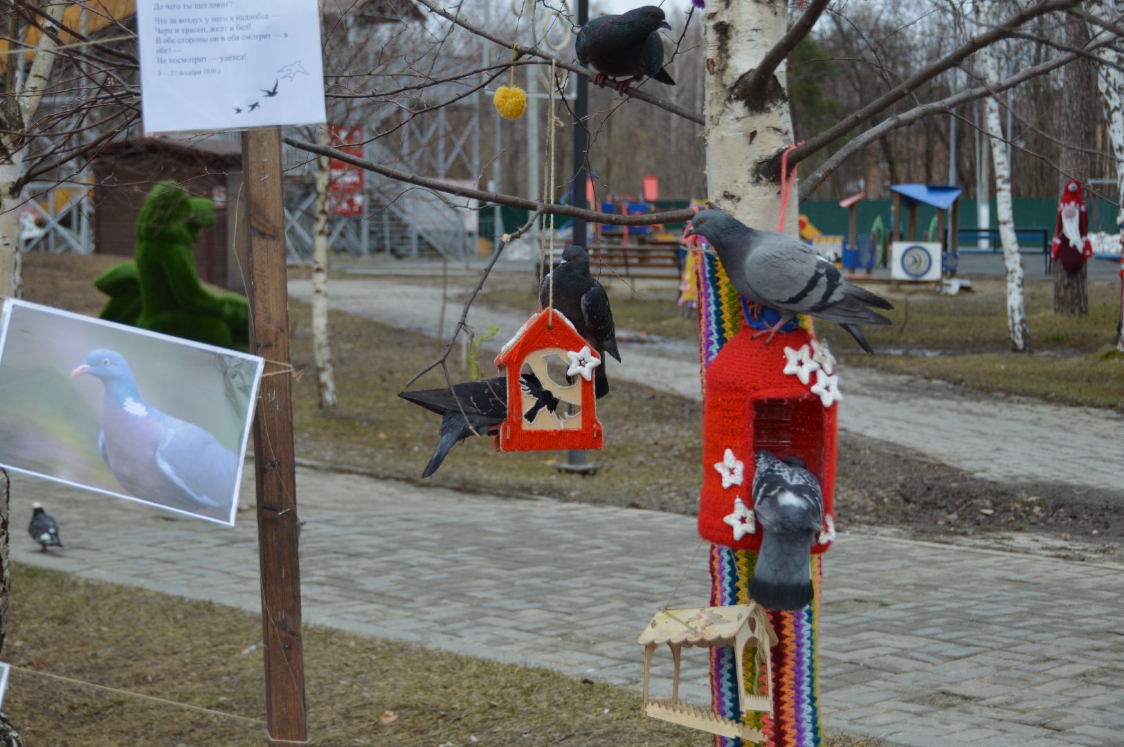 шатура, покормите птиц зимой, парк, парки подмосковья ., парки шатуры, международная акция, кормушки,