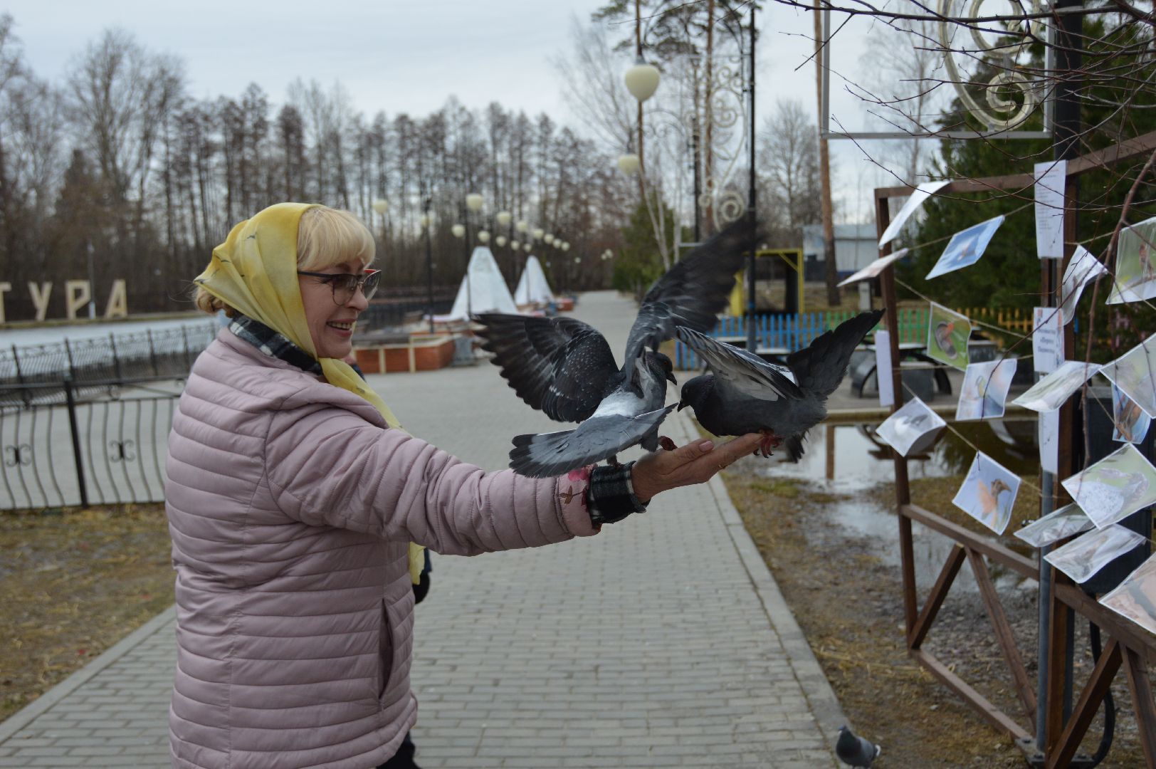 шатура, покормите птиц зимой, парк, парки подмосковья ., парки шатуры, международная акция, кормушки,