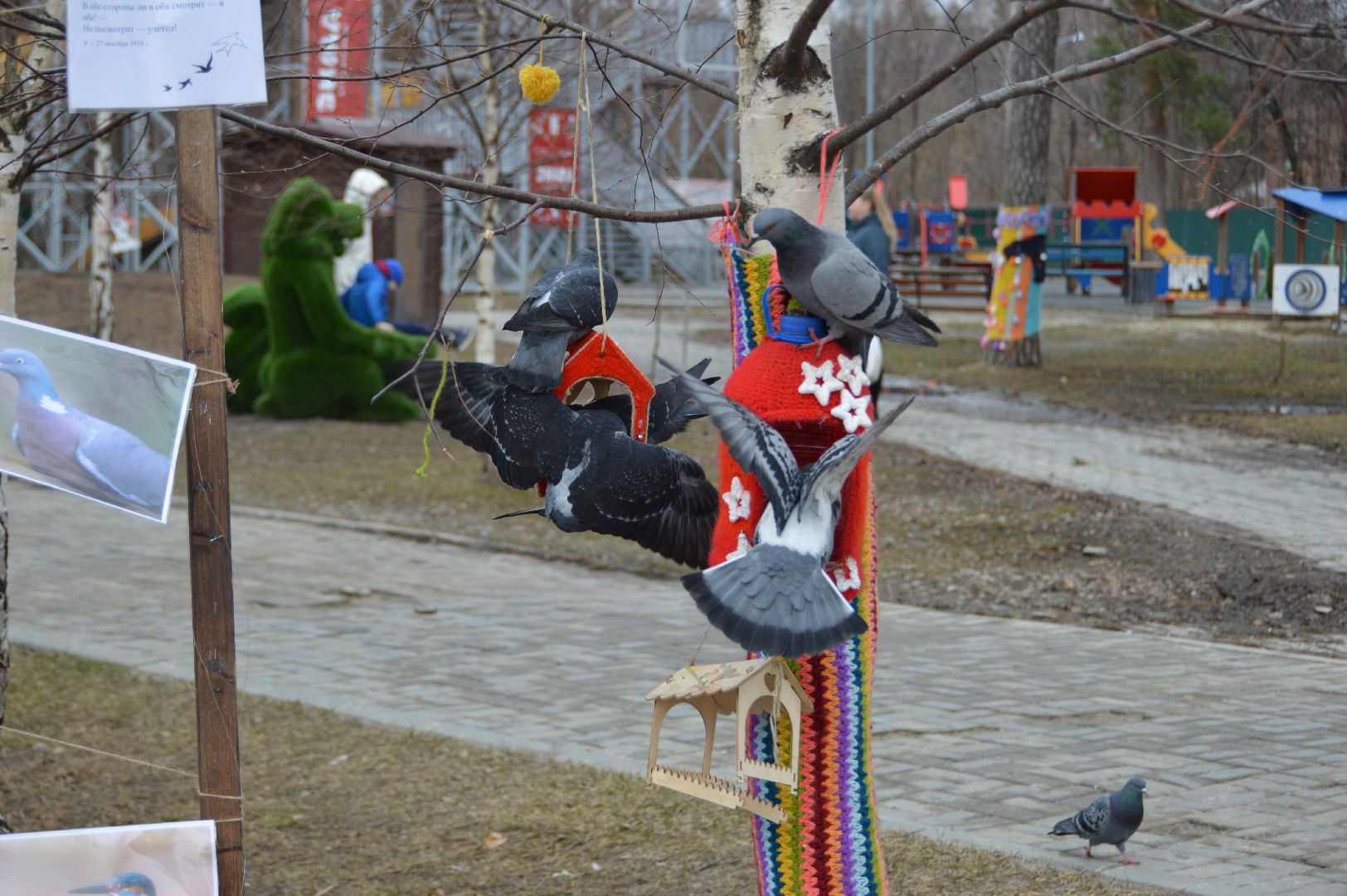 шатура, покормите птиц зимой, парк, парки подмосковья ., парки шатуры, международная акция, кормушки,