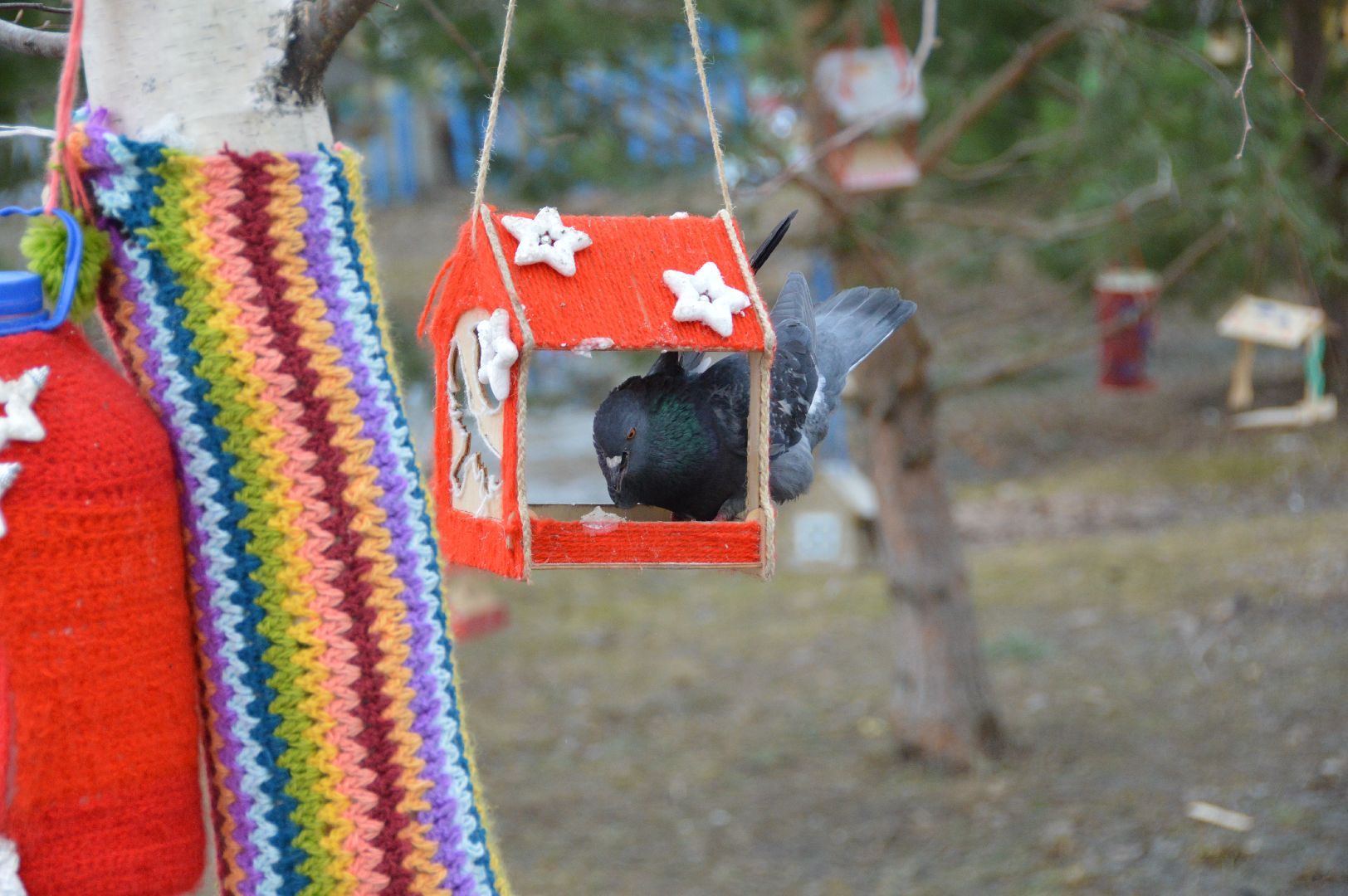 шатура, покормите птиц зимой, парк, парки подмосковья ., парки шатуры, международная акция, кормушки,