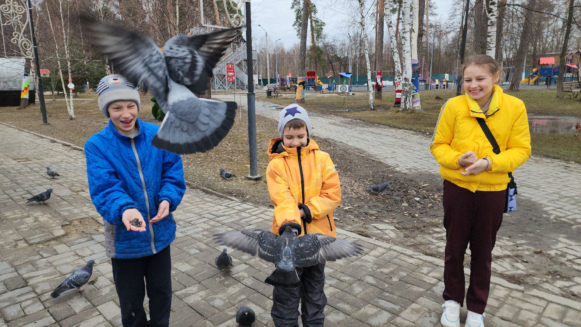 шатура, покормите птиц зимой, парк, парки подмосковья ., парки шатуры, международная акция, кормушки,