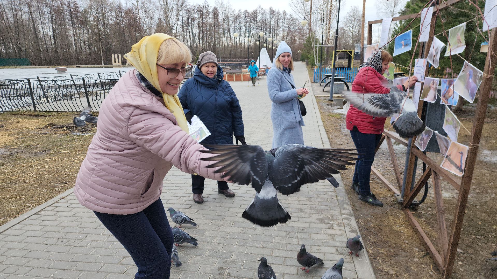 шатура, покормите птиц зимой, парк, парки подмосковья ., парки шатуры, международная акция, кормушки,