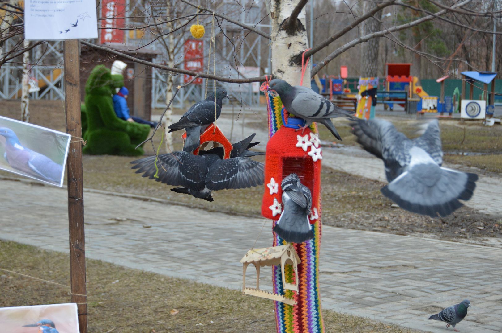 шатура, покормите птиц зимой, парк, парки подмосковья ., парки шатуры, международная акция, кормушки,