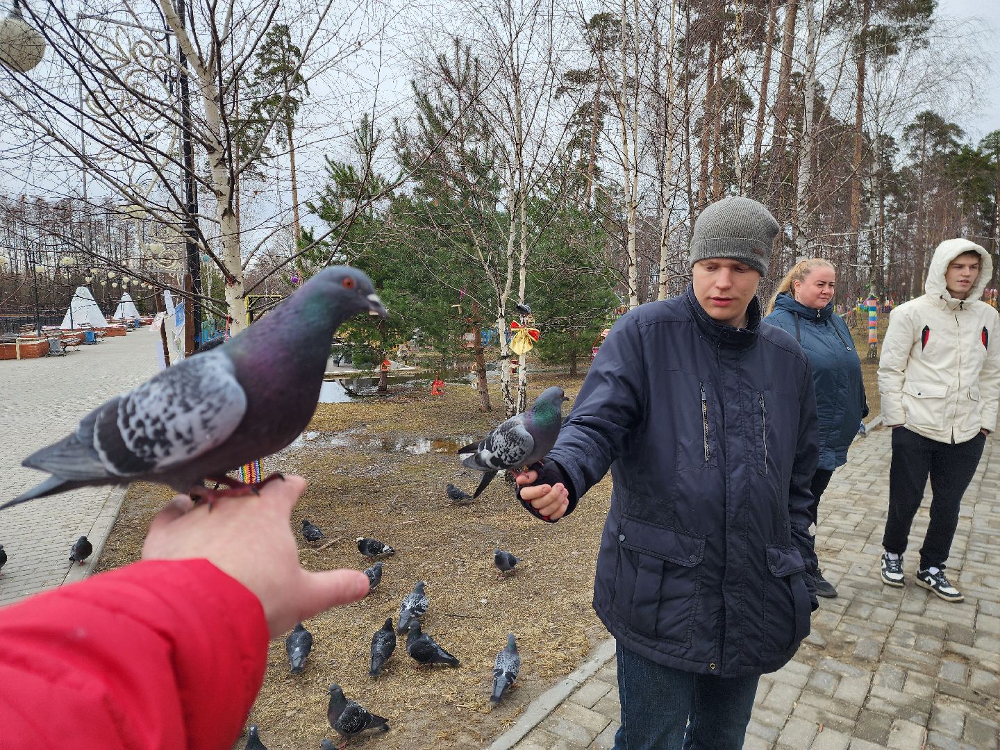 шатура, покормите птиц зимой, парк, парки подмосковья ., парки шатуры, международная акция, кормушки,