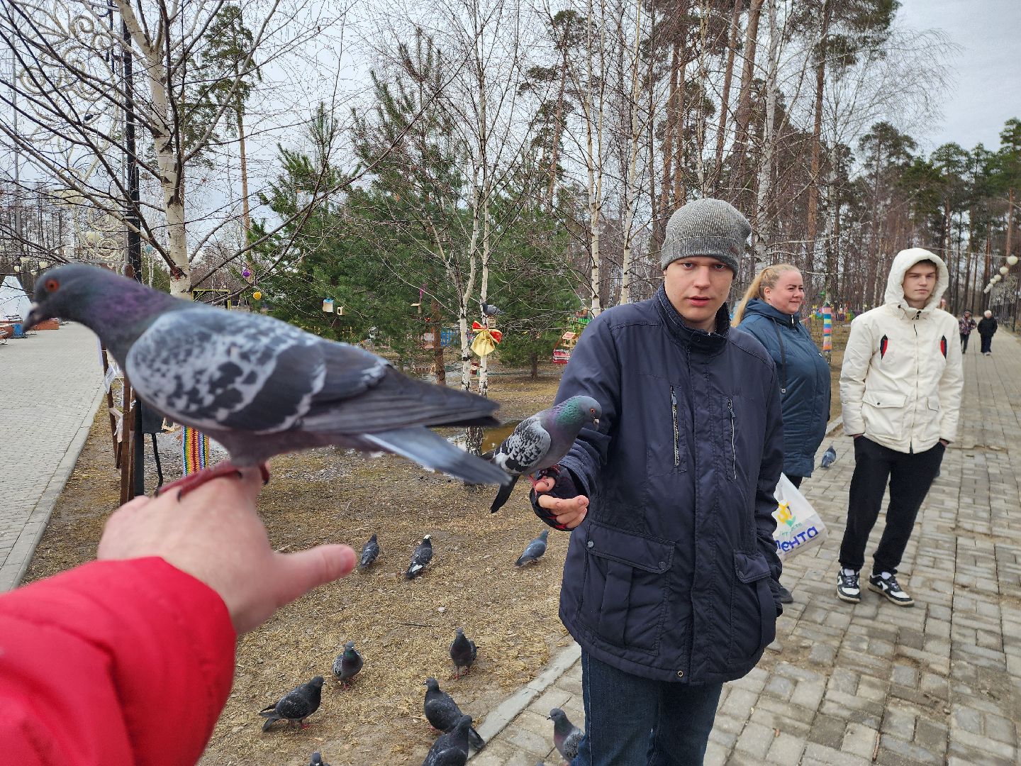 шатура, покормите птиц зимой, парк, парки подмосковья ., парки шатуры, международная акция, кормушки,