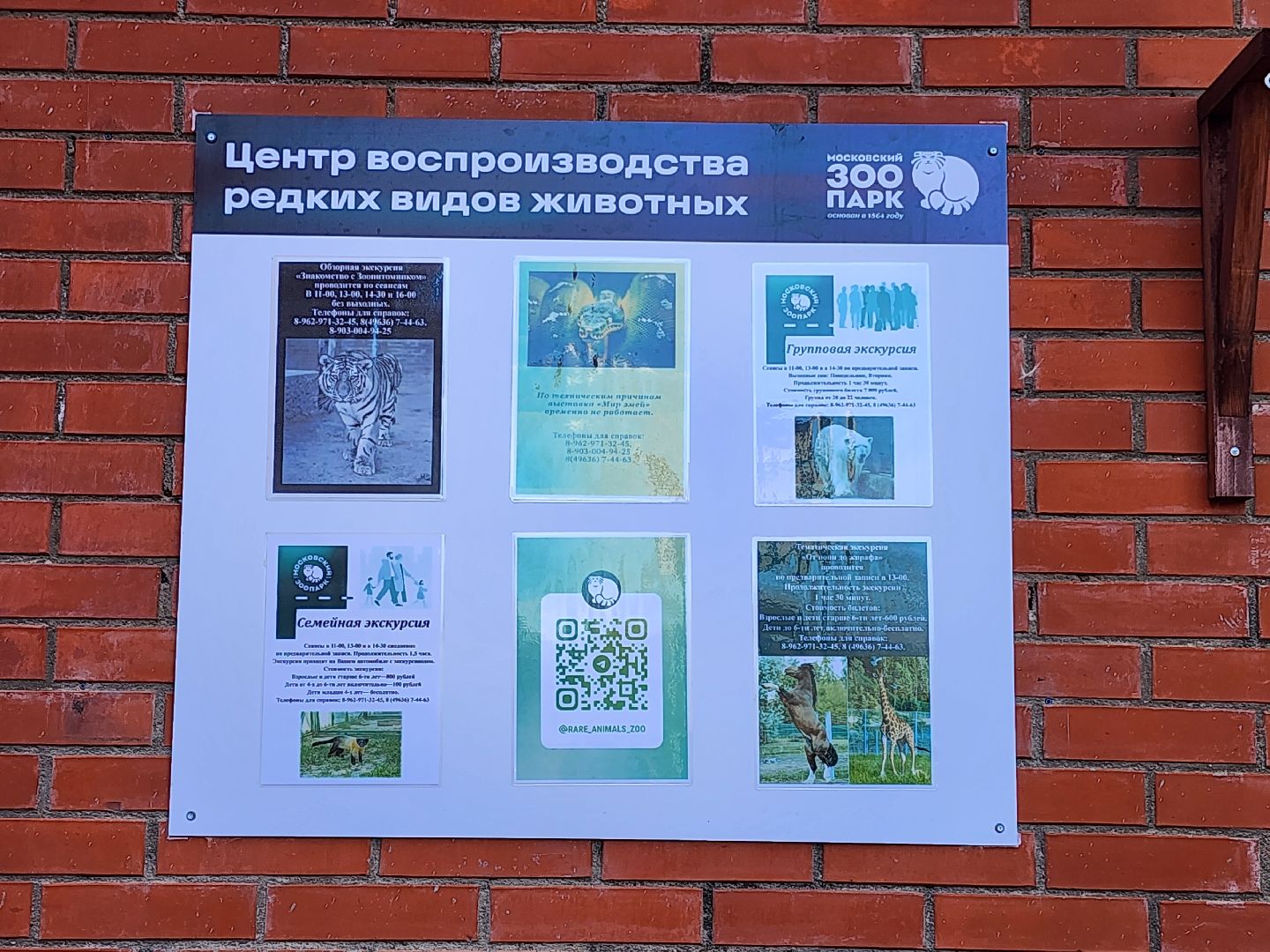 дети Белгорода, зоопарк, волоколамск, белгород,
