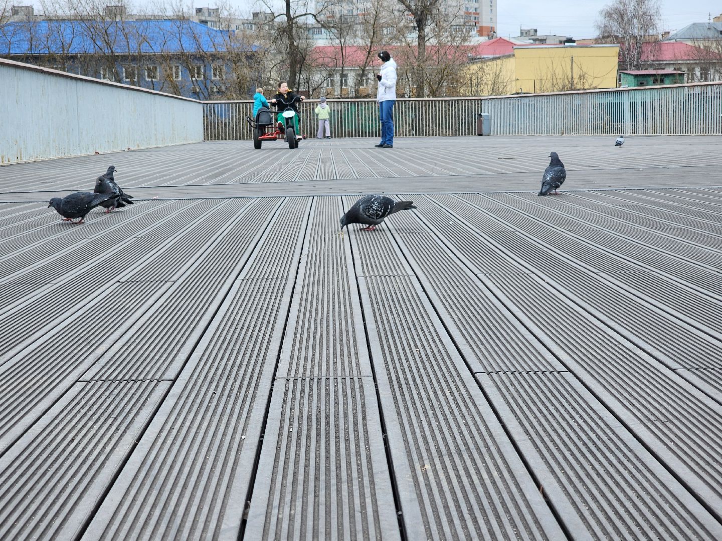 весна в подмосковье, парки подмосковья, орехово-зуево,