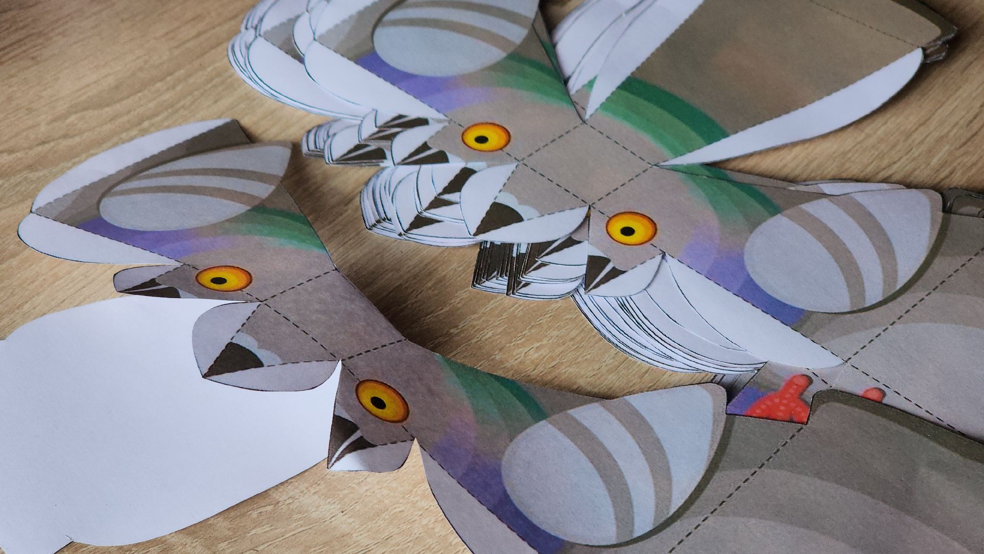 экологический квиз, экология, краеведческий музей, рузский городской округ, рузский краеведческий музей, парк городок, Руза,