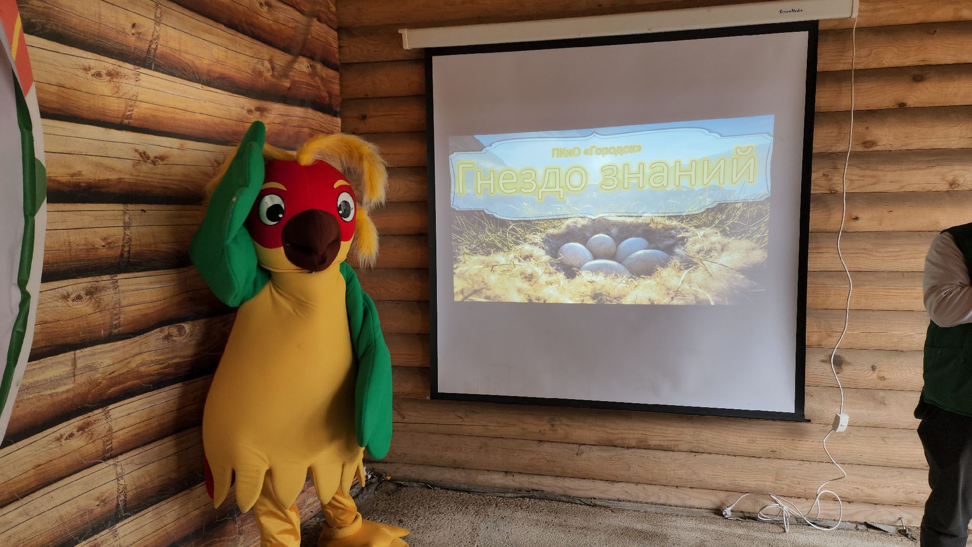 экологический квиз, экология, краеведческий музей, рузский городской округ, рузский краеведческий музей, парк городок, Руза,