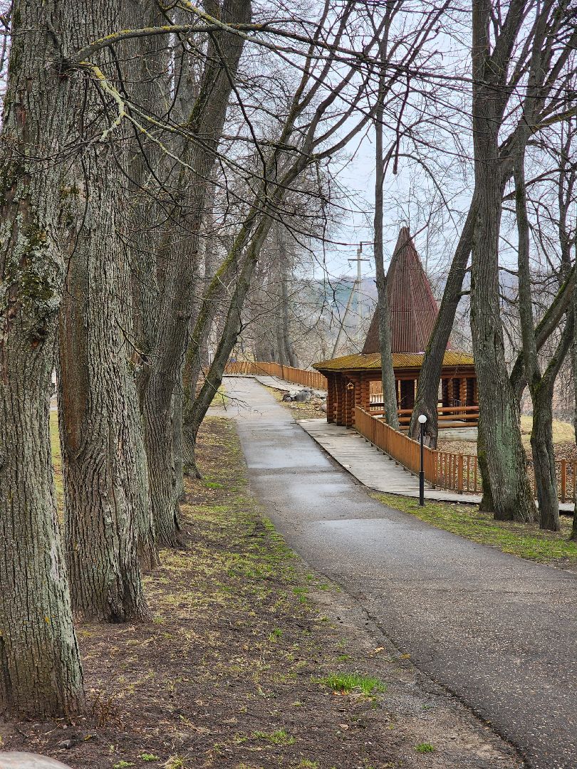 экологический квиз, экология, краеведческий музей, рузский городской округ, рузский краеведческий музей, парк городок, Руза,