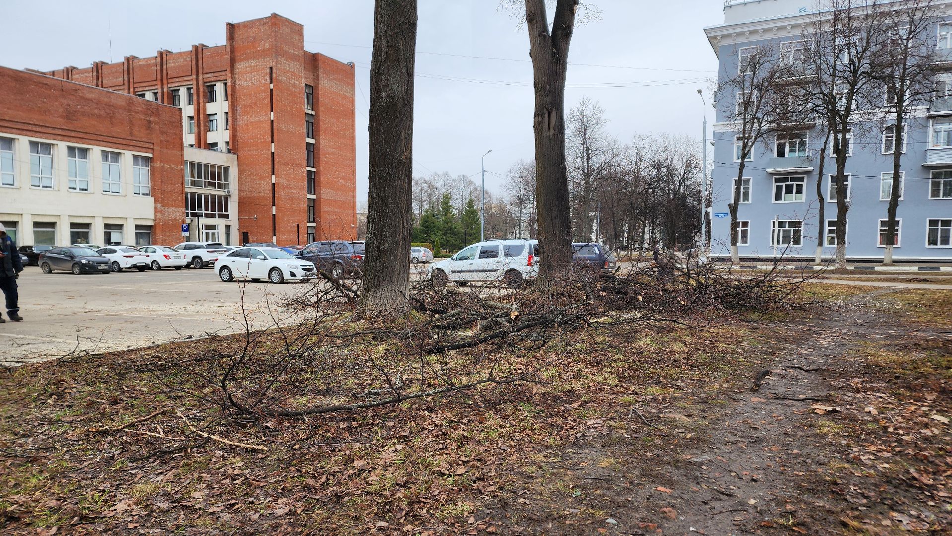 ступино, субботник, благоустройство 2024,