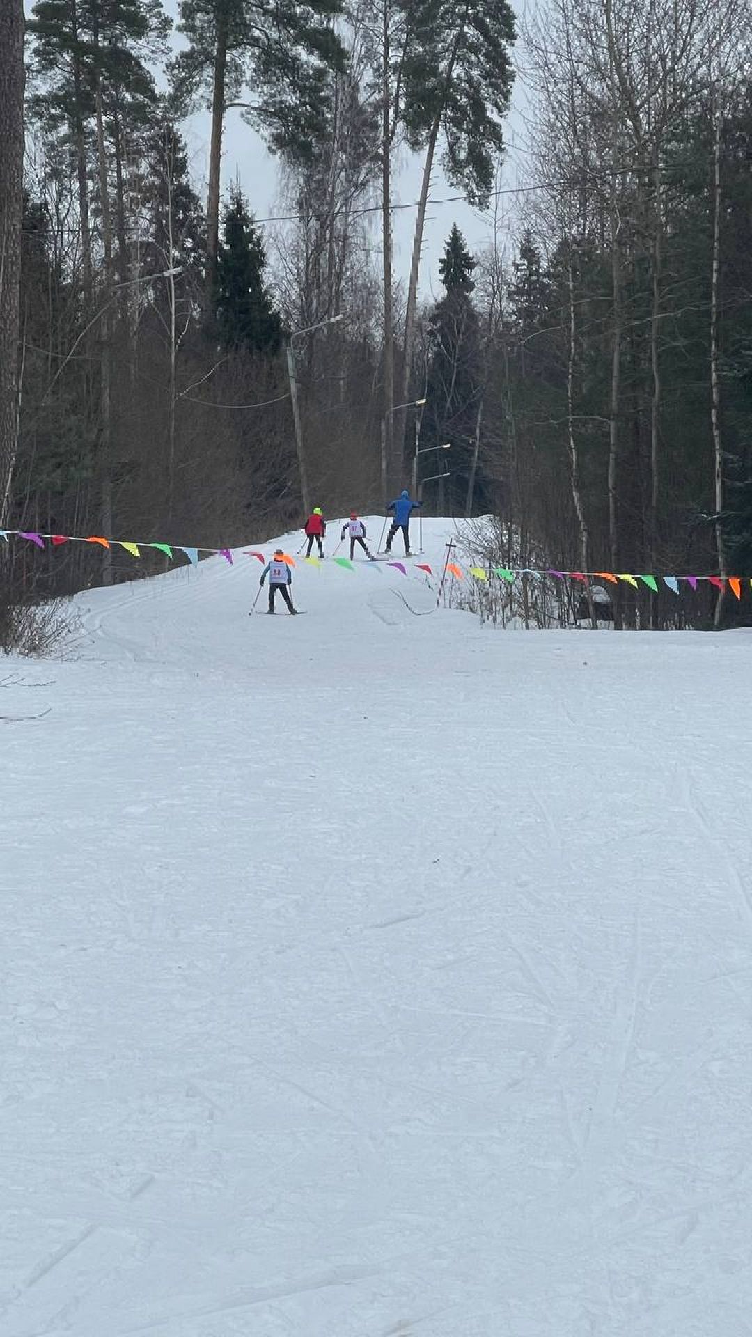 Краснознаменск, общество