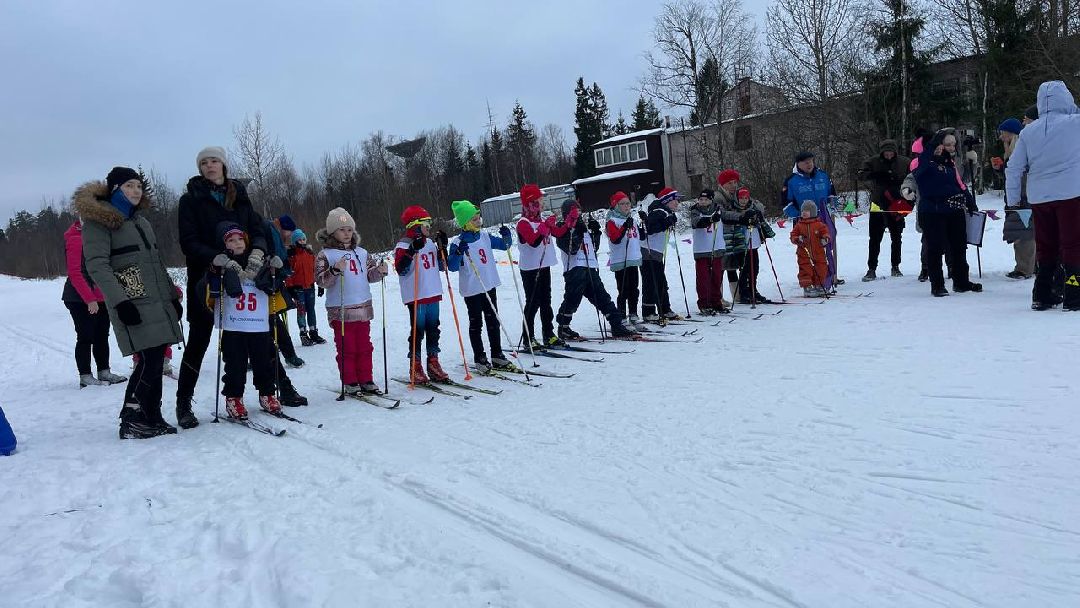 Краснознаменск, общество