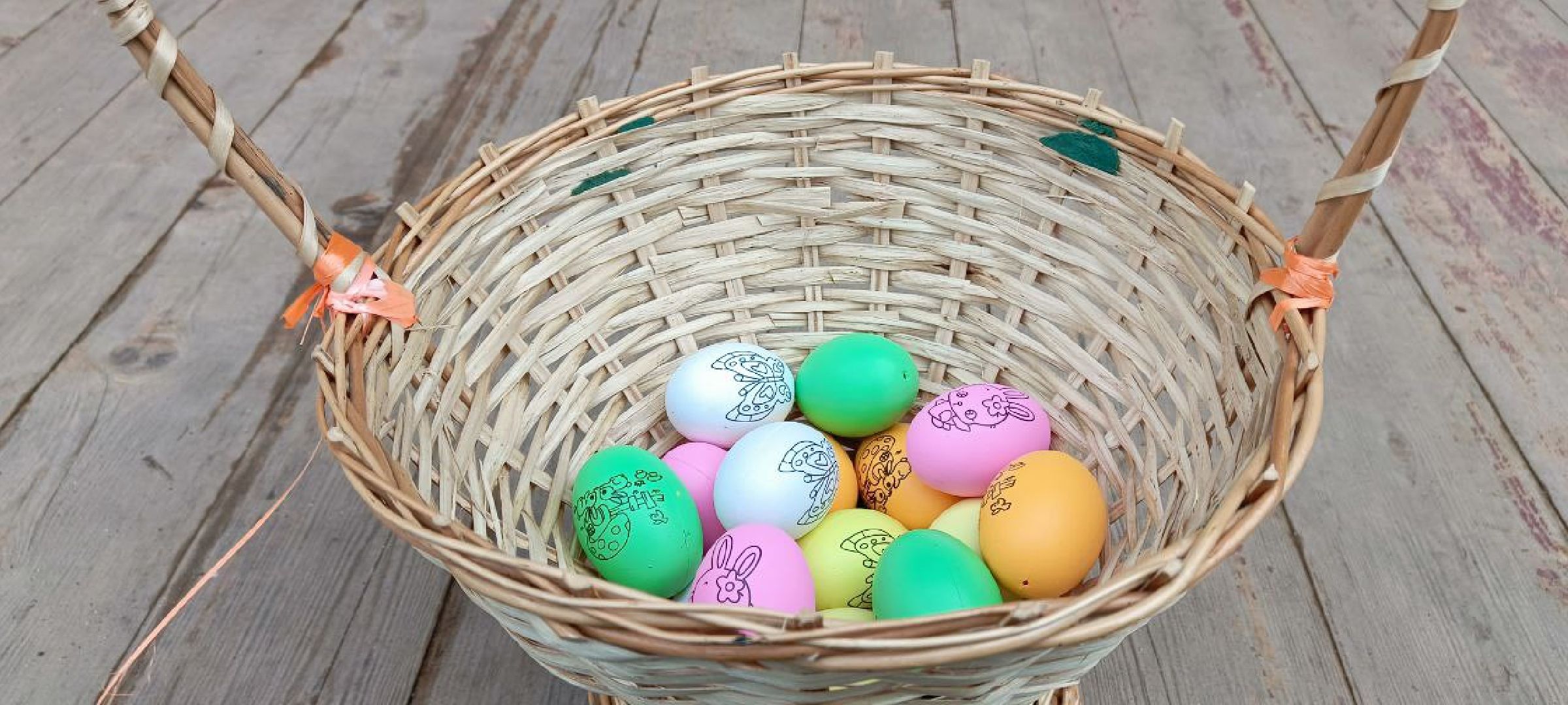 Талдом, Парк Победа, Пернатые в парках,