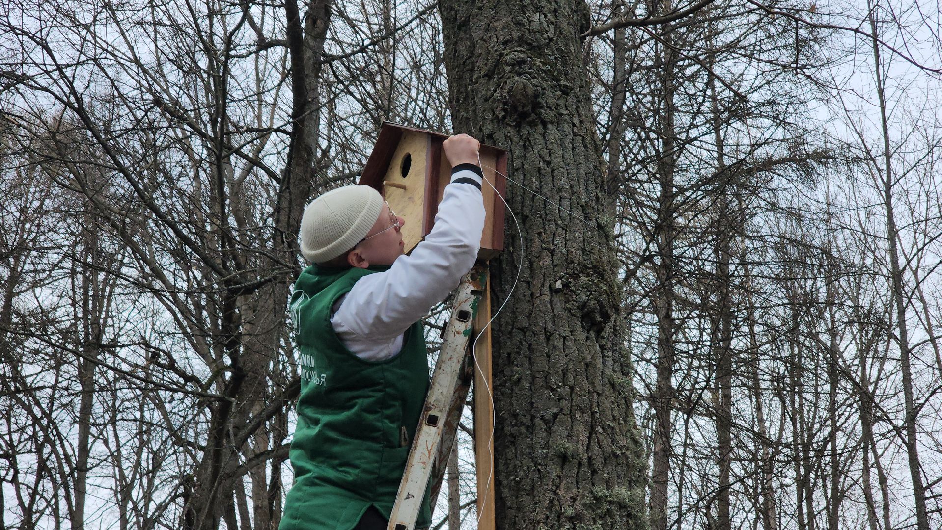Экология, скворечник, Лучший скворечник, Конкурс, Руза, рузский городской округ, конкурс скворечников,