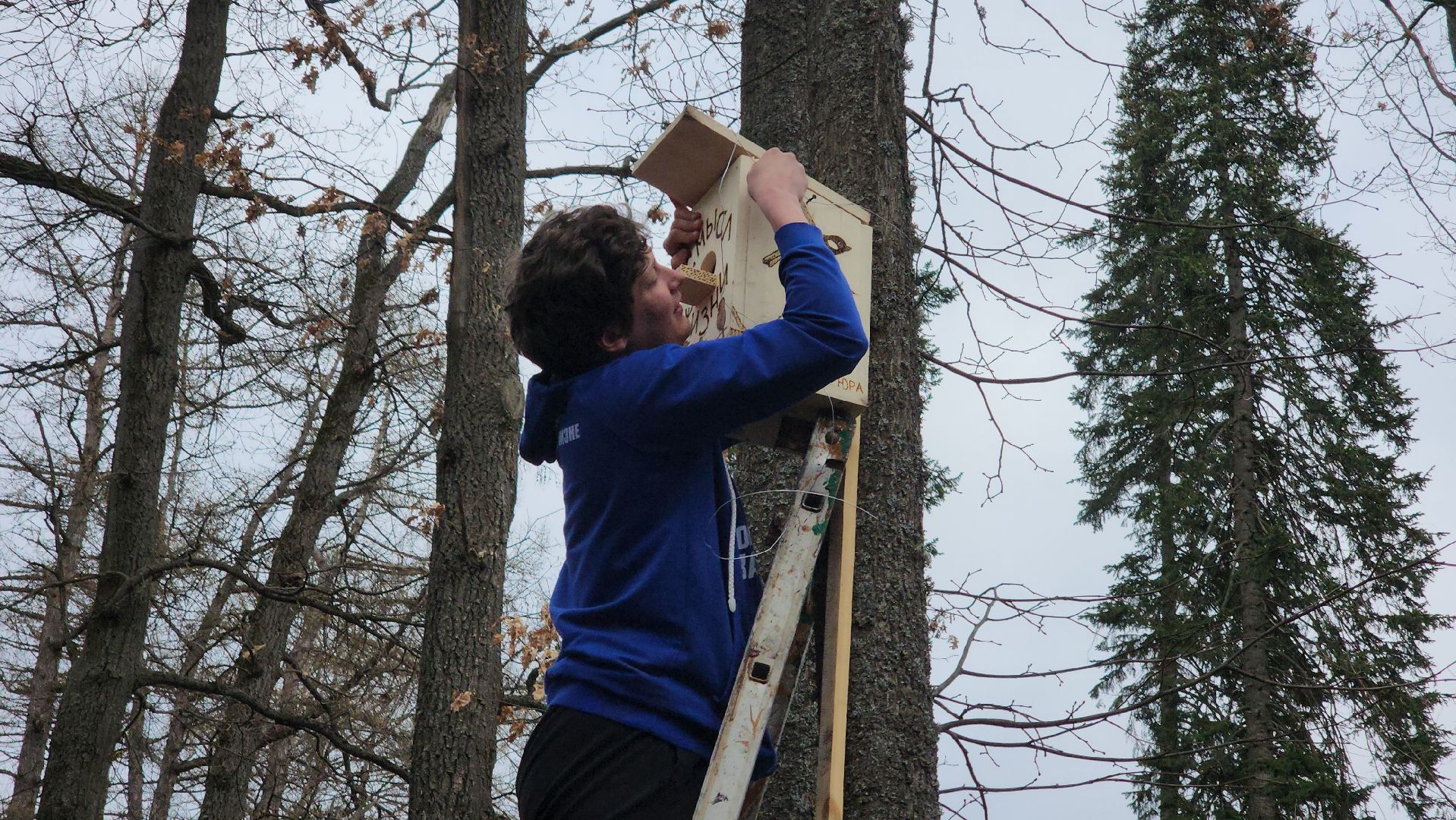 Экология, скворечник, Лучший скворечник, Конкурс, Руза, рузский городской округ, конкурс скворечников,