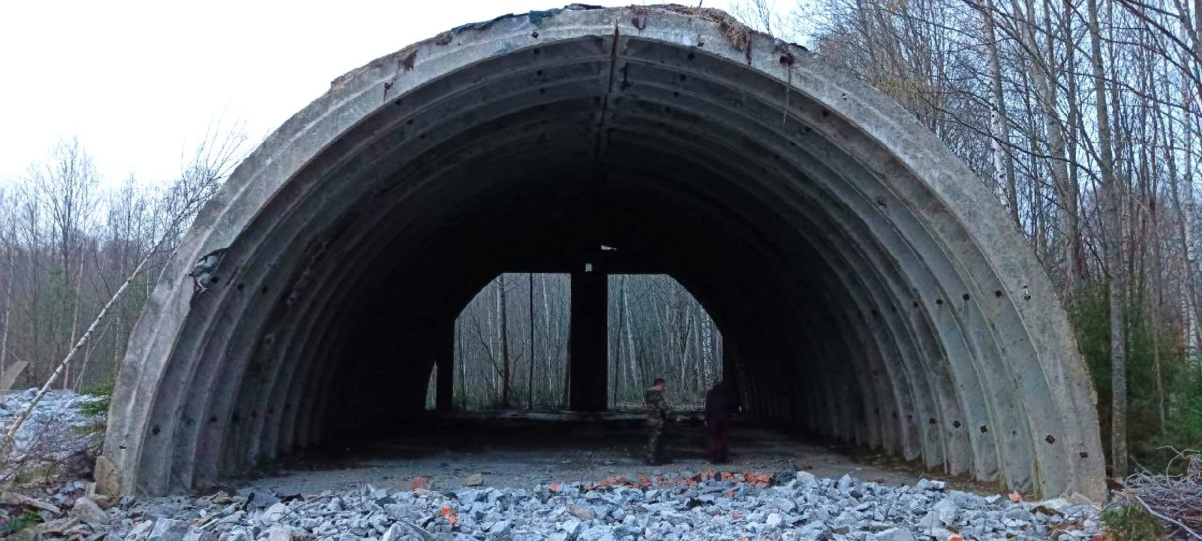 Дмитров, Военная часть в Ковригино, Губернатор Воробьев,