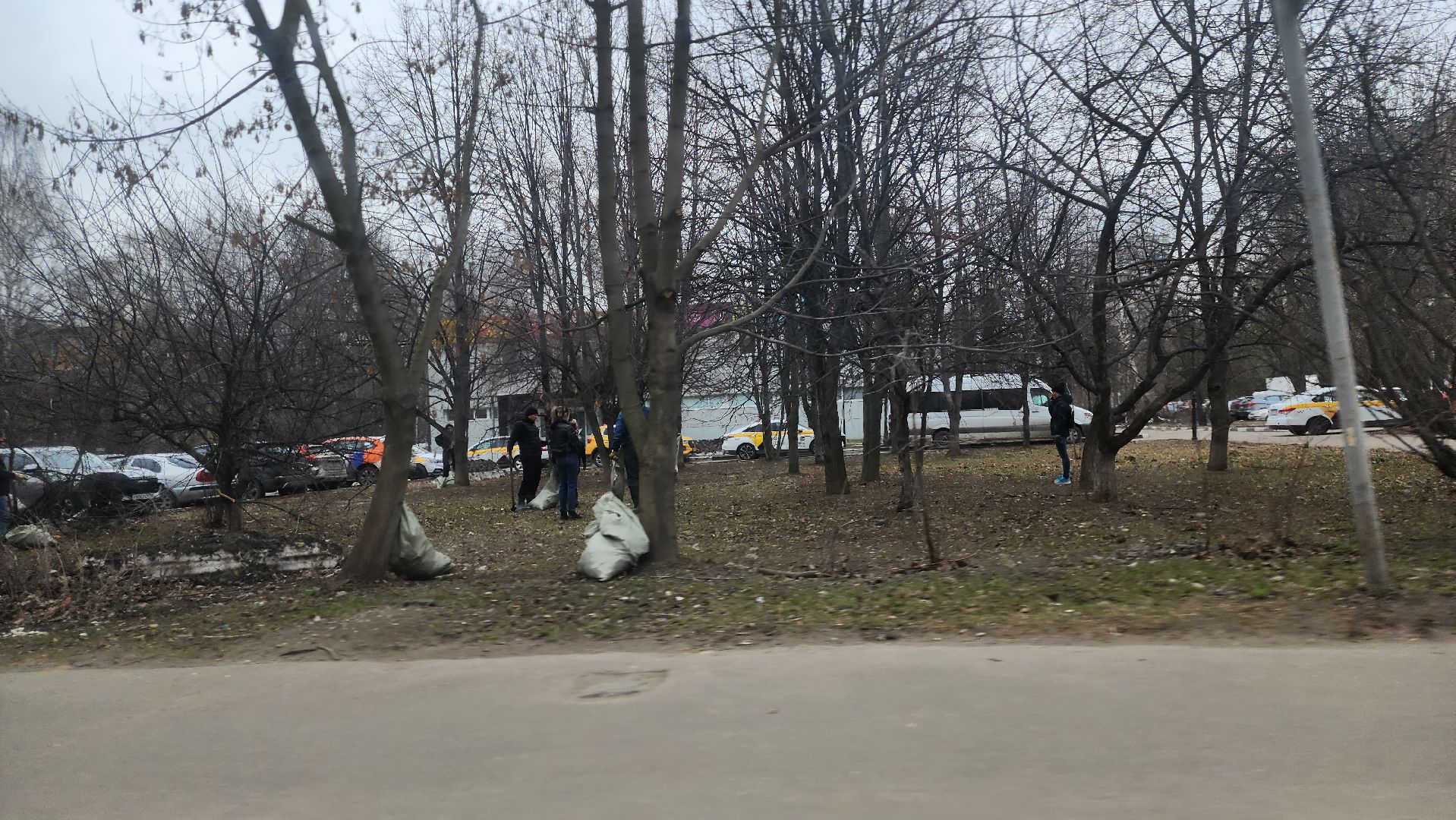 долгопрудный, субботник, месяц благоустройства, парки, депутаты,