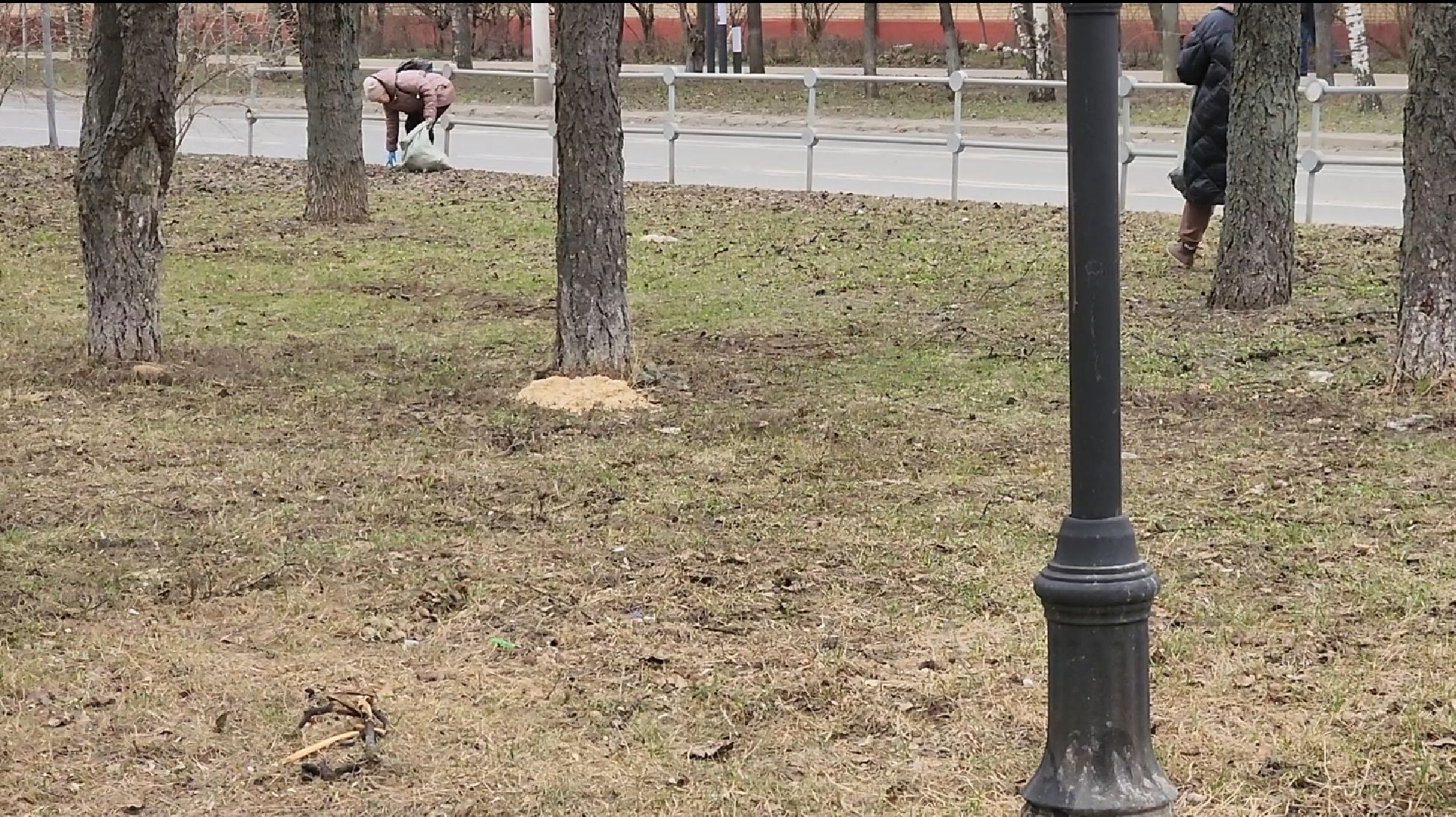 долгопрудный, субботник, месяц благоустройства, парки, депутаты,