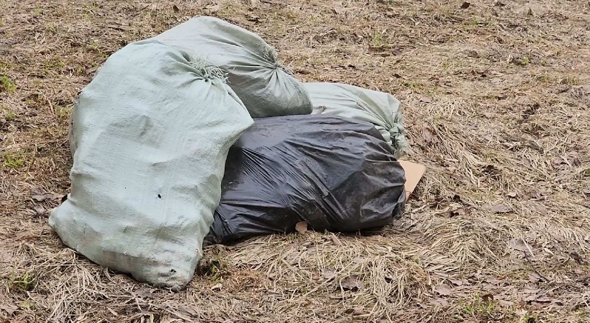 долгопрудный, субботник, месяц благоустройства, парки, депутаты,