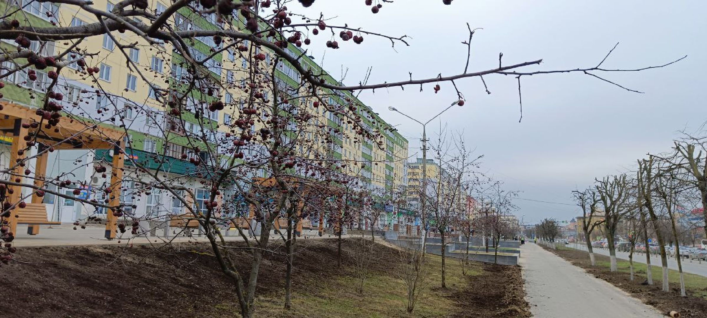 Дмитров, Субботник, Минблаго,