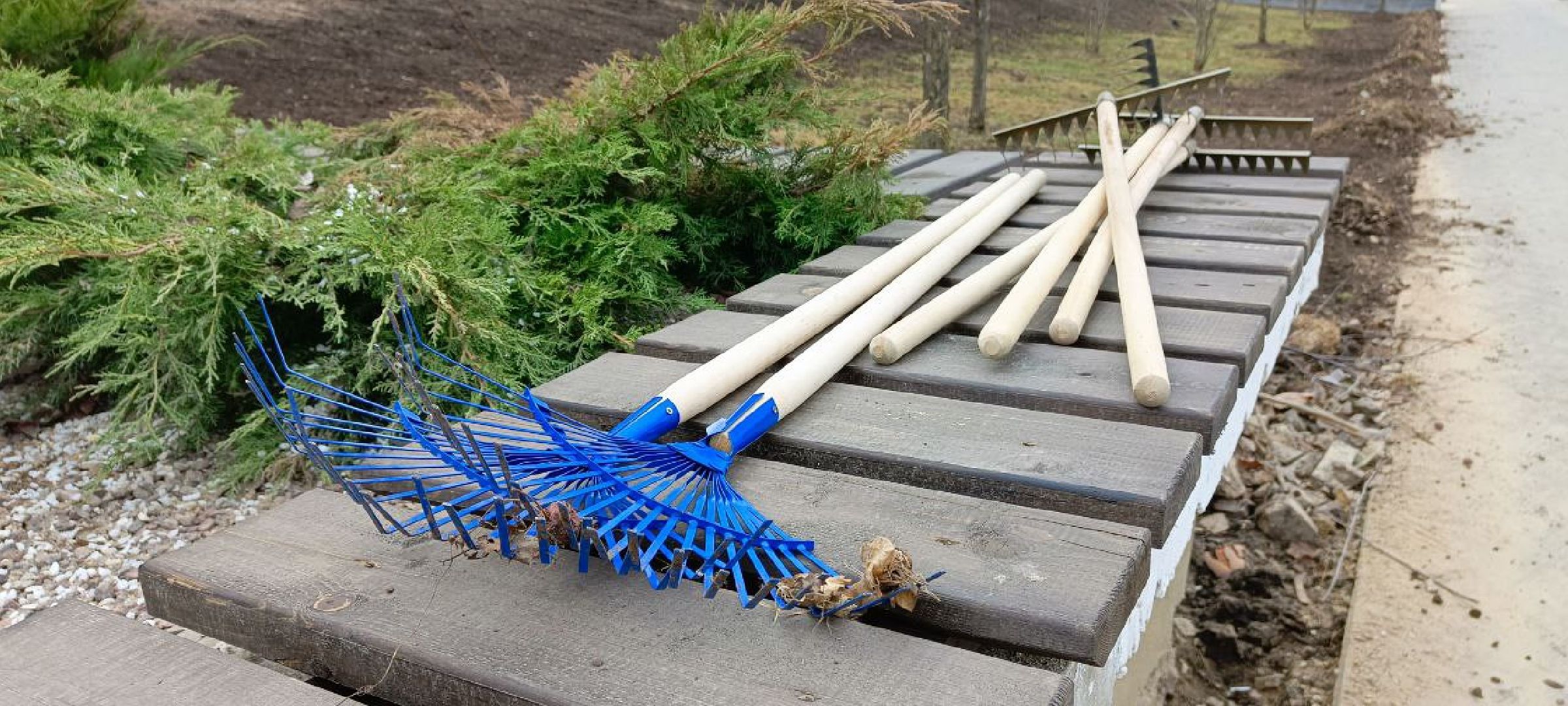 Дмитров, Субботник, Минблаго,