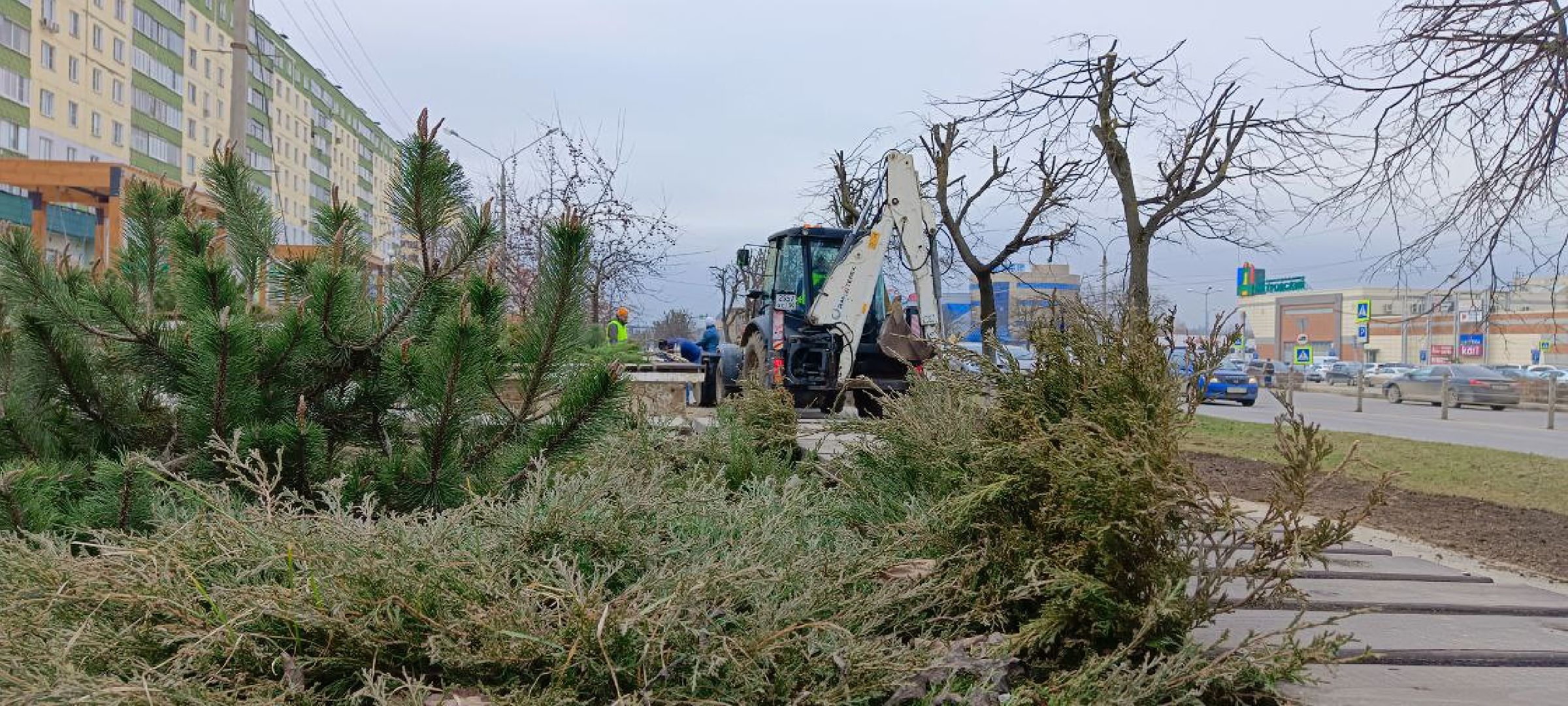 Дмитров, Субботник, Минблаго,