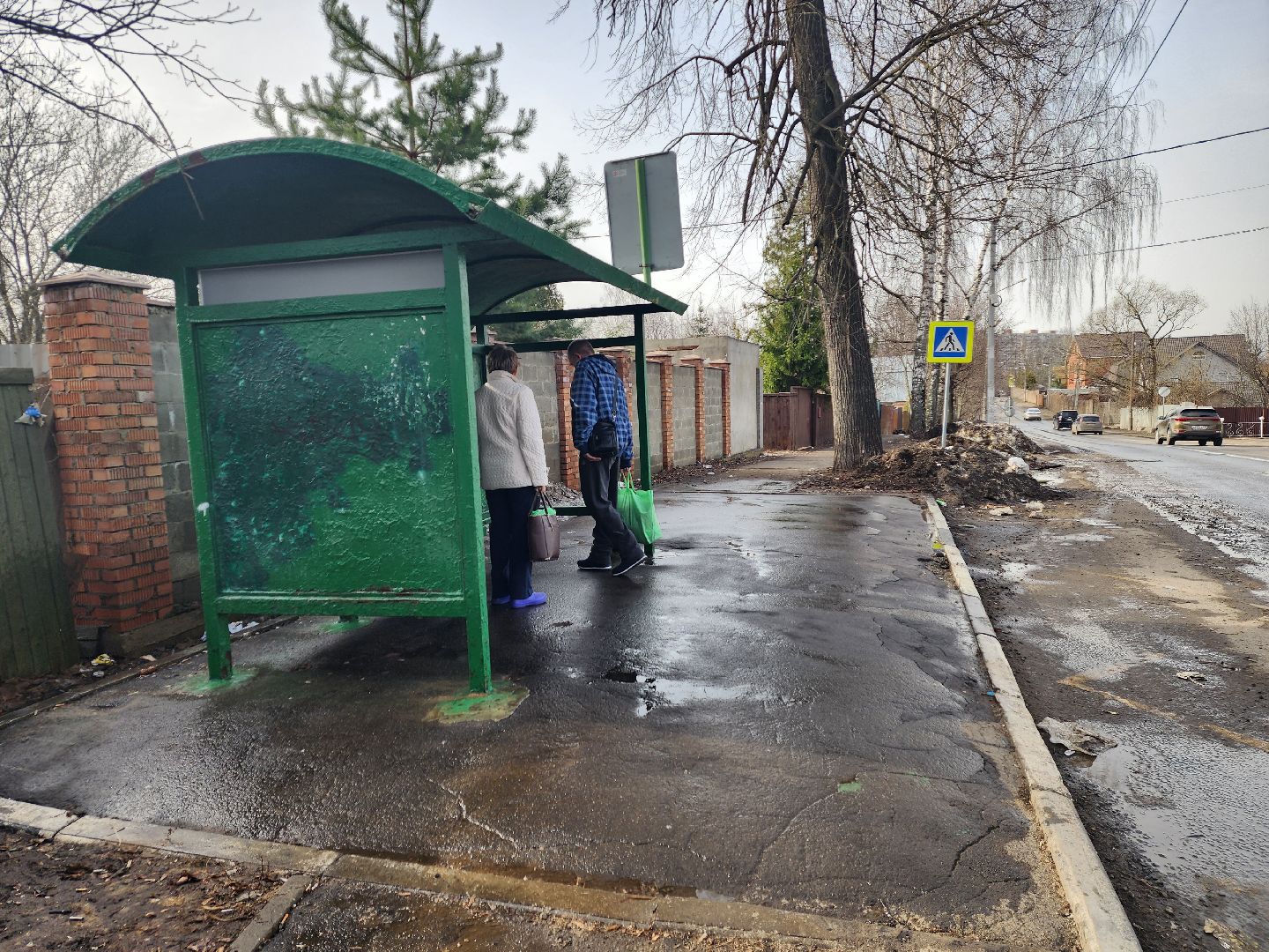 пушкино, дорожное хозяйство, уборка мусора,