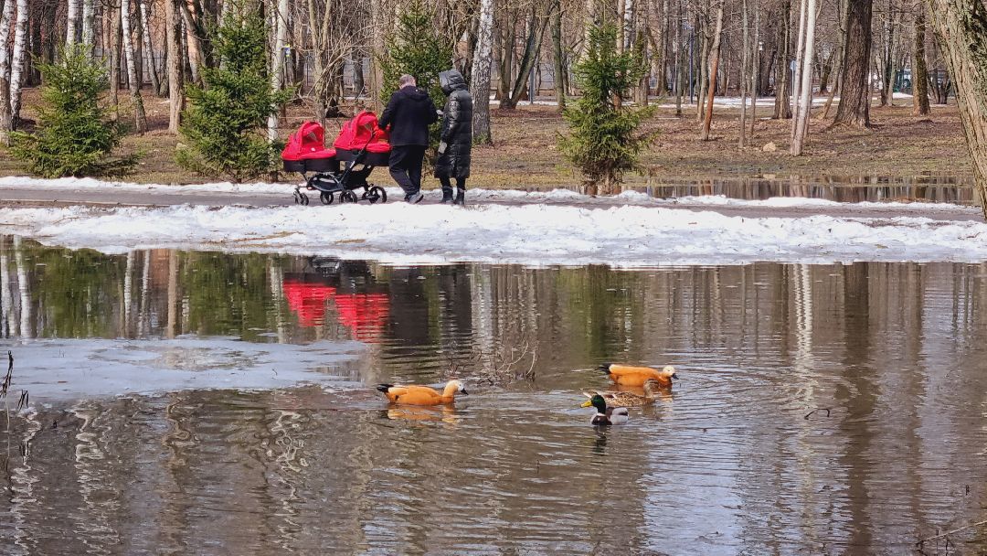 Подмосковье, Ивантеевка, благоустройство