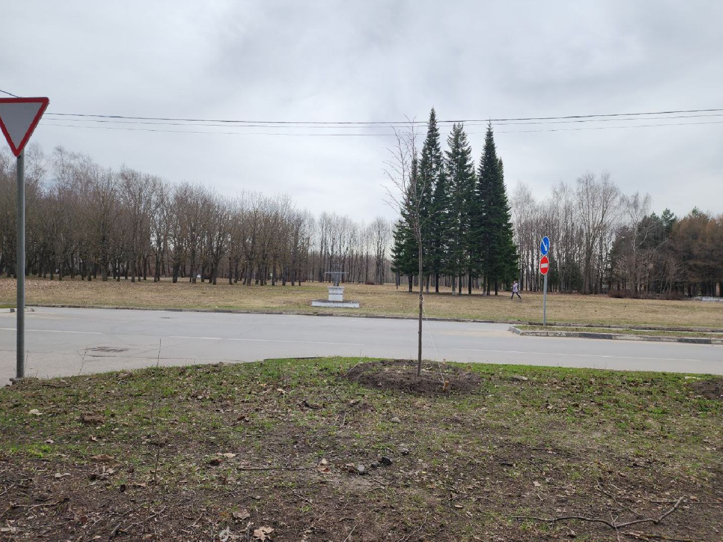 пущино, экология, благоустойство, деревья,