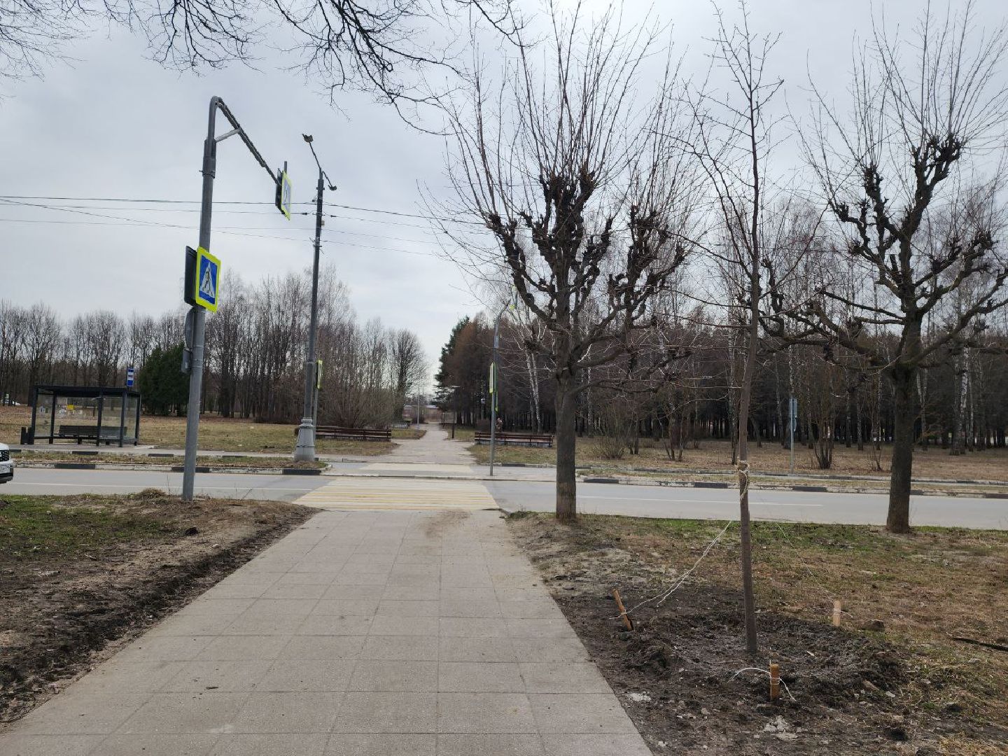 пущино, экология, благоустойство, деревья,