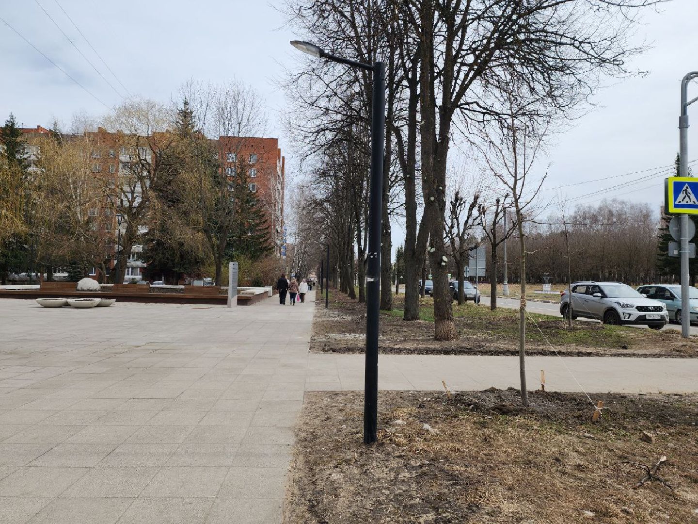 пущино, экология, благоустойство, деревья,