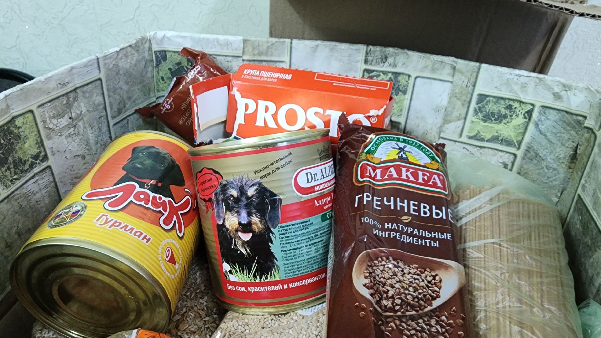 хвостатый рай, благотворительность, протвино, собаки, помощь,