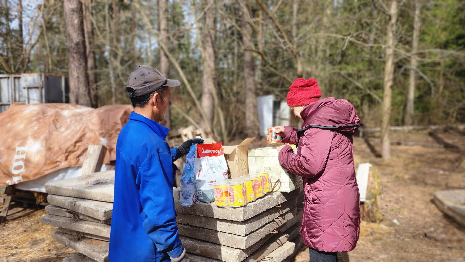 хвостатый рай, благотворительность, протвино, собаки, помощь,