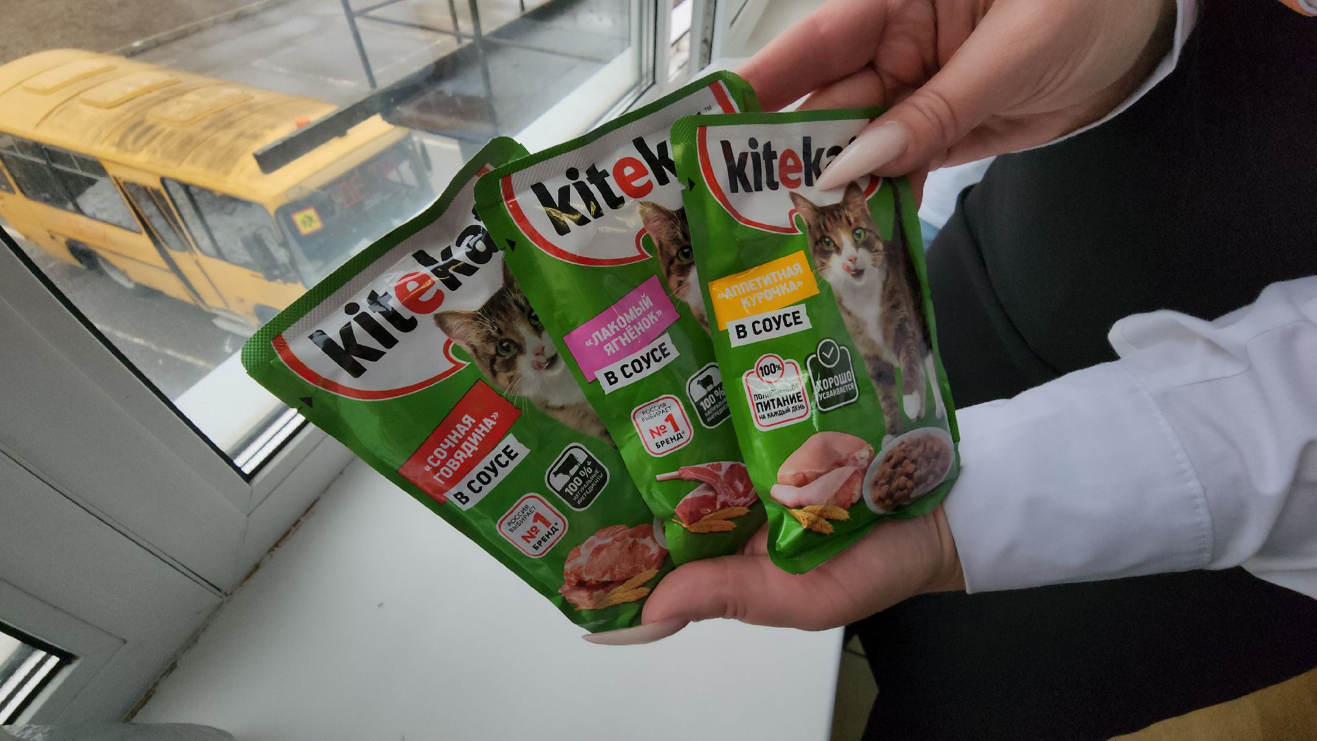 Сбор кормов, бездомные животные, помощь бездомным животным, лицей, нестеровский лицей, руза, рузский городской округ,