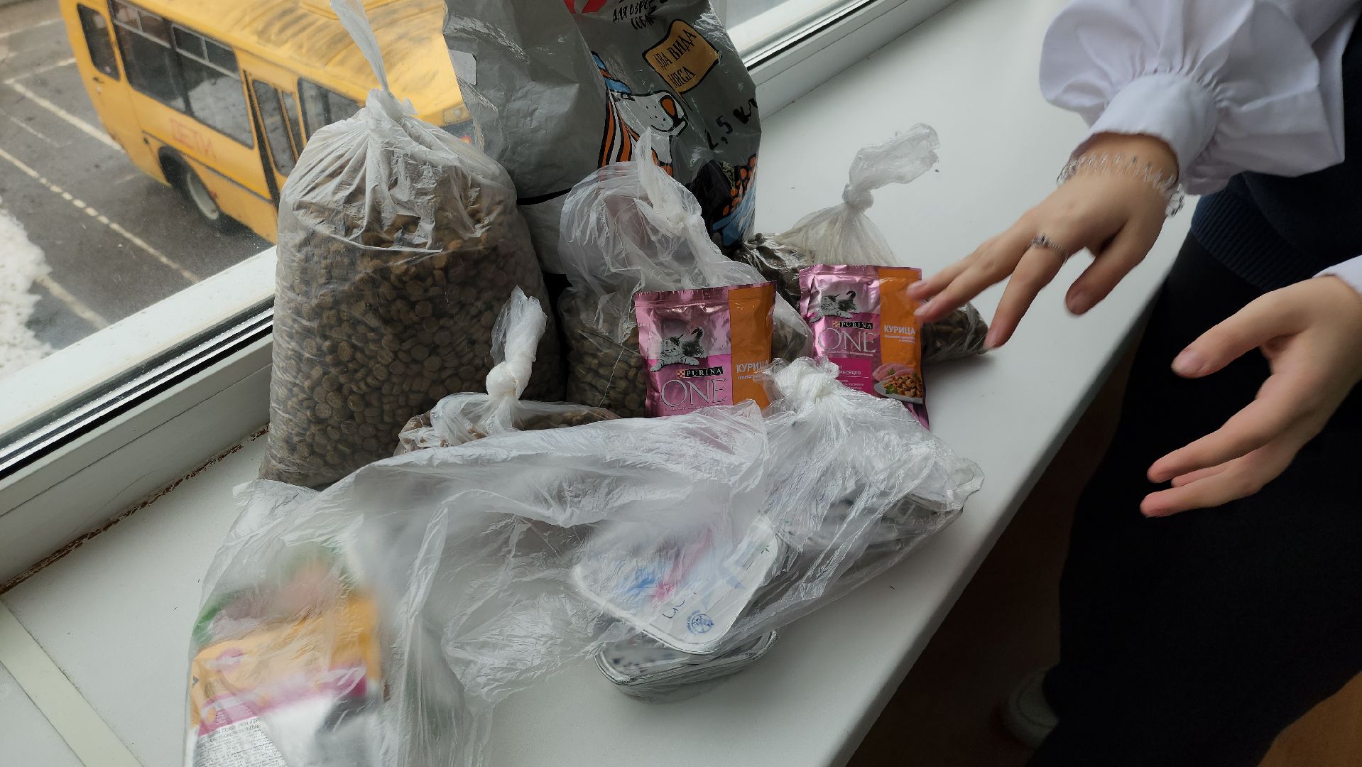 Сбор кормов, бездомные животные, помощь бездомным животным, лицей, нестеровский лицей, руза, рузский городской округ,