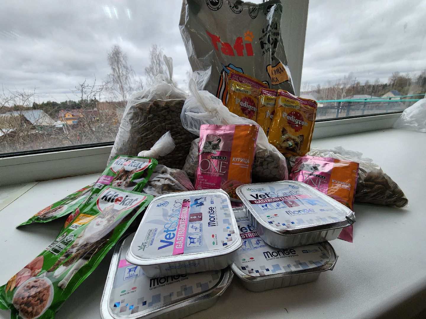 Сбор кормов, бездомные животные, помощь бездомным животным, лицей, нестеровский лицей, руза, рузский городской округ,