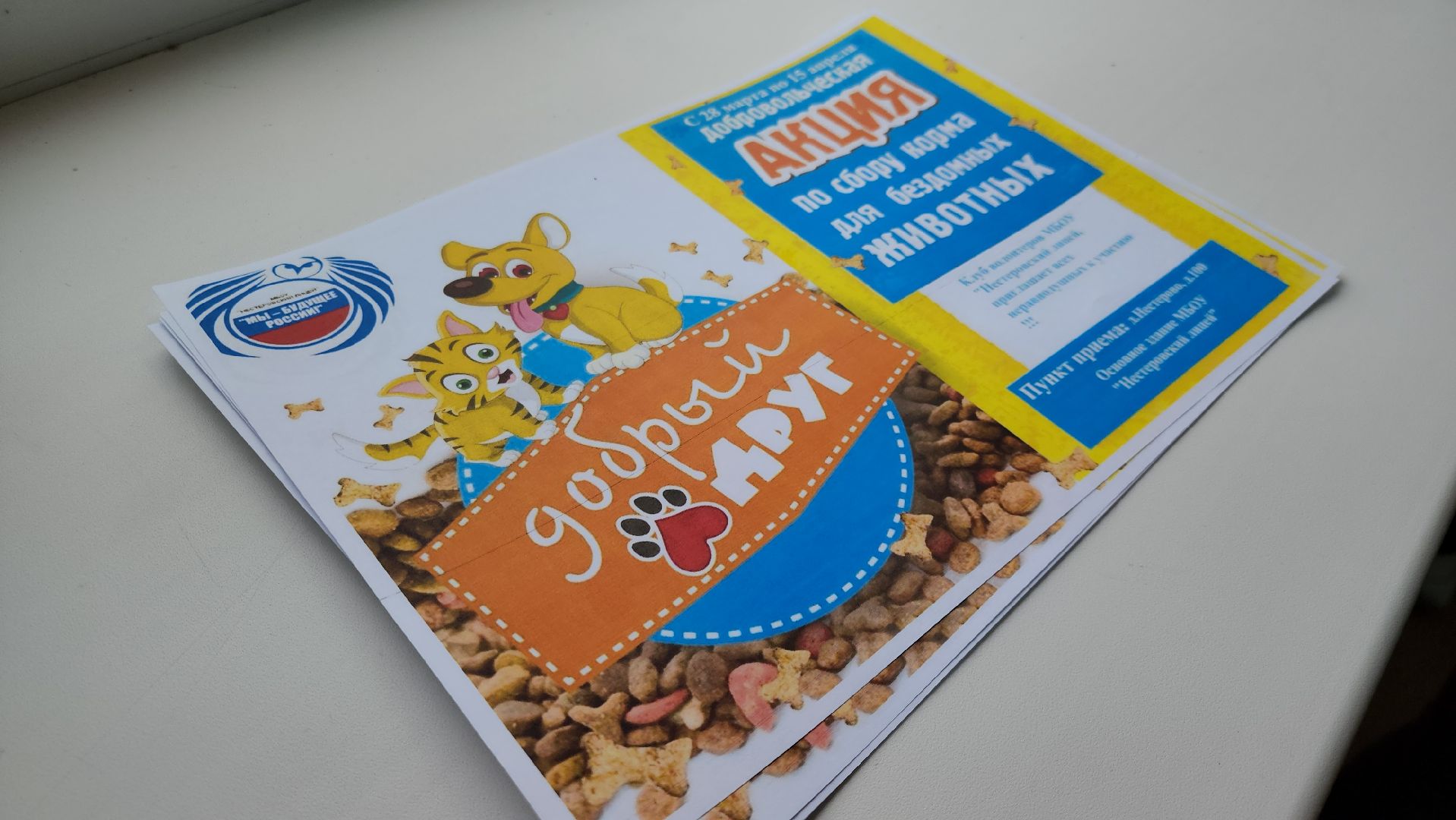 Сбор кормов, бездомные животные, помощь бездомным животным, лицей, нестеровский лицей, руза, рузский городской округ,