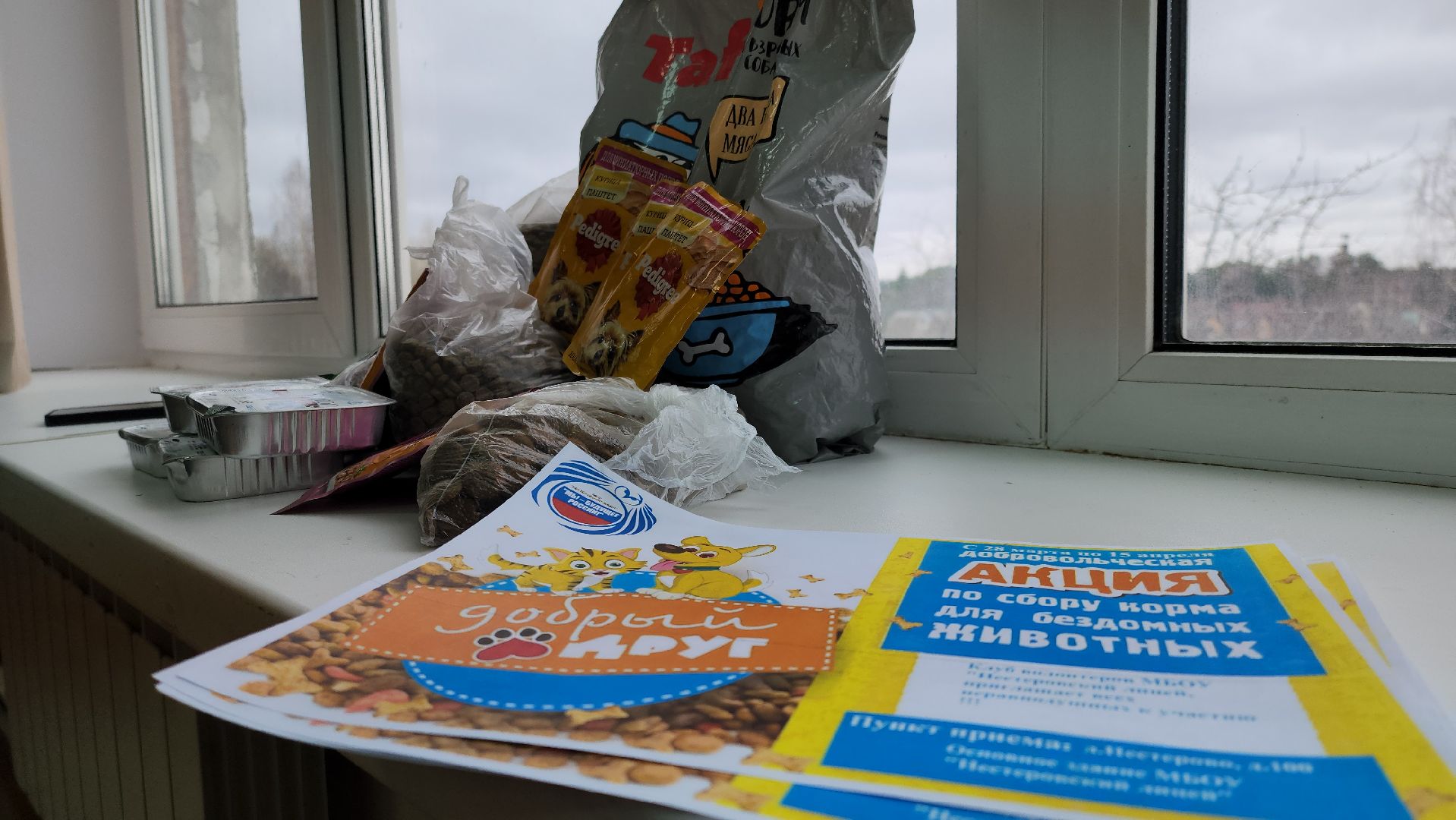 Сбор кормов, бездомные животные, помощь бездомным животным, лицей, нестеровский лицей, руза, рузский городской округ,