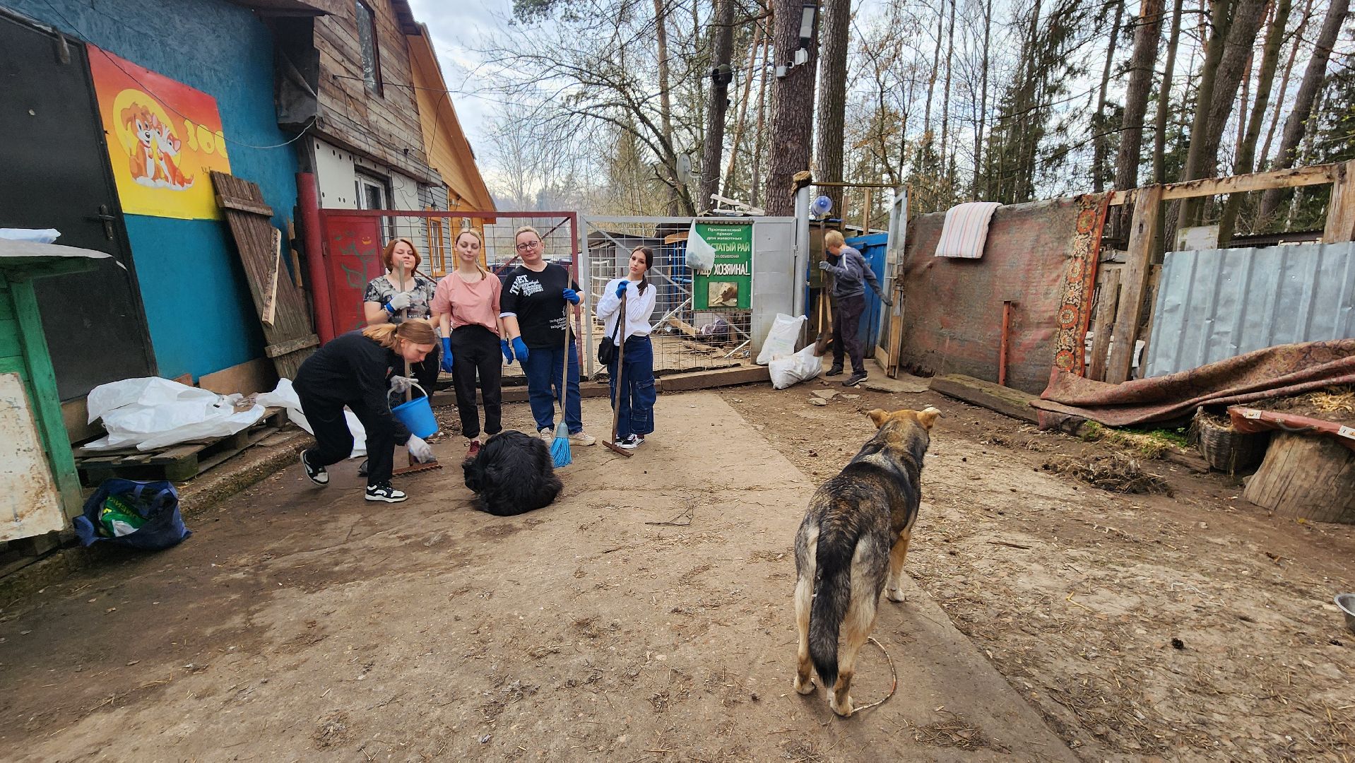 хвостатый рай, субботник, приют, волонтеры подмосковья, протвино,