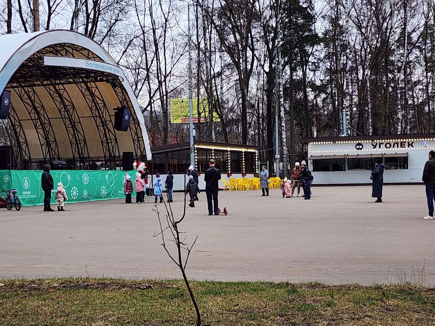 ногинск, парки подмосковья, птица,