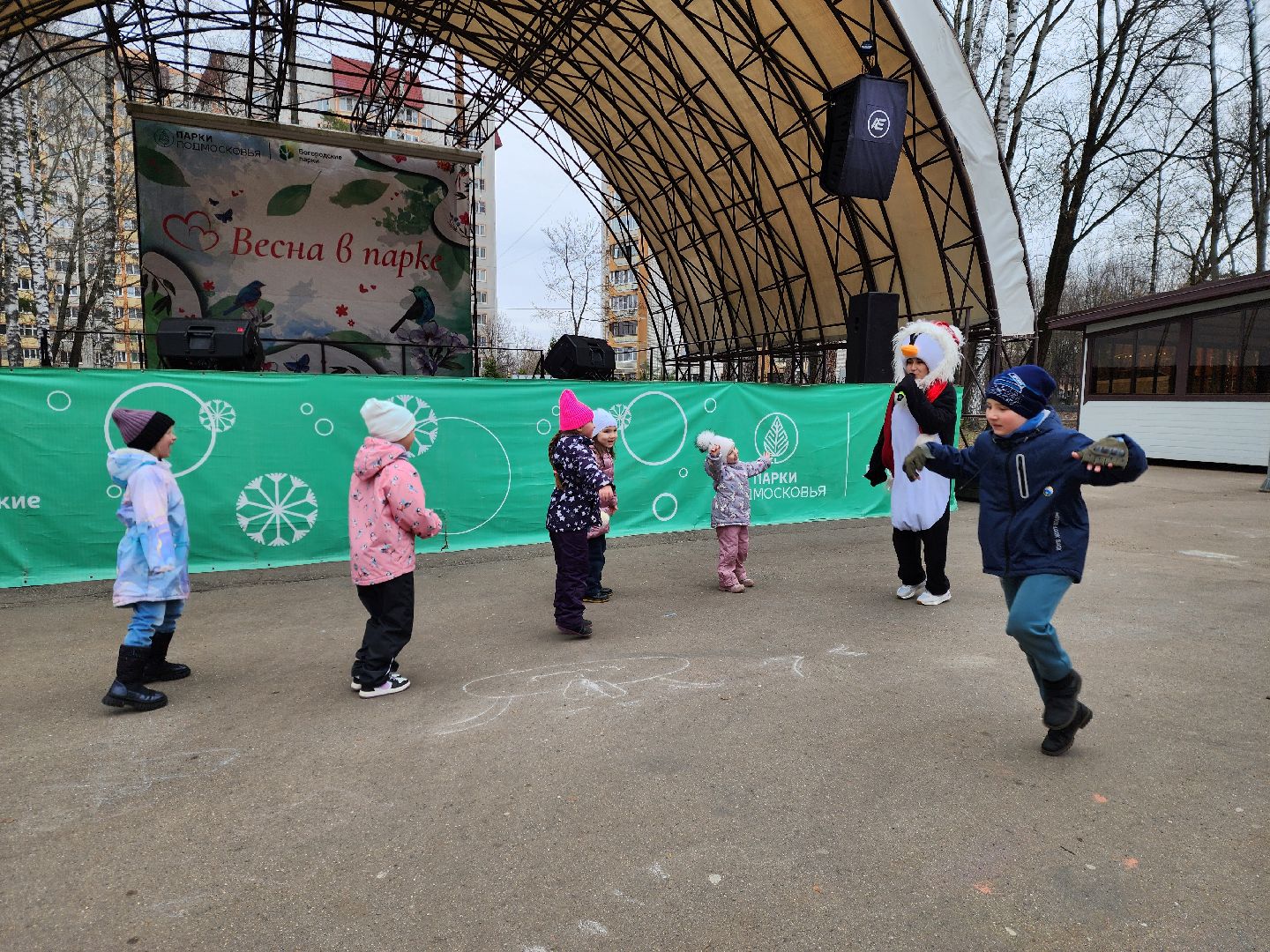 ногинск, парки подмосковья, птица,