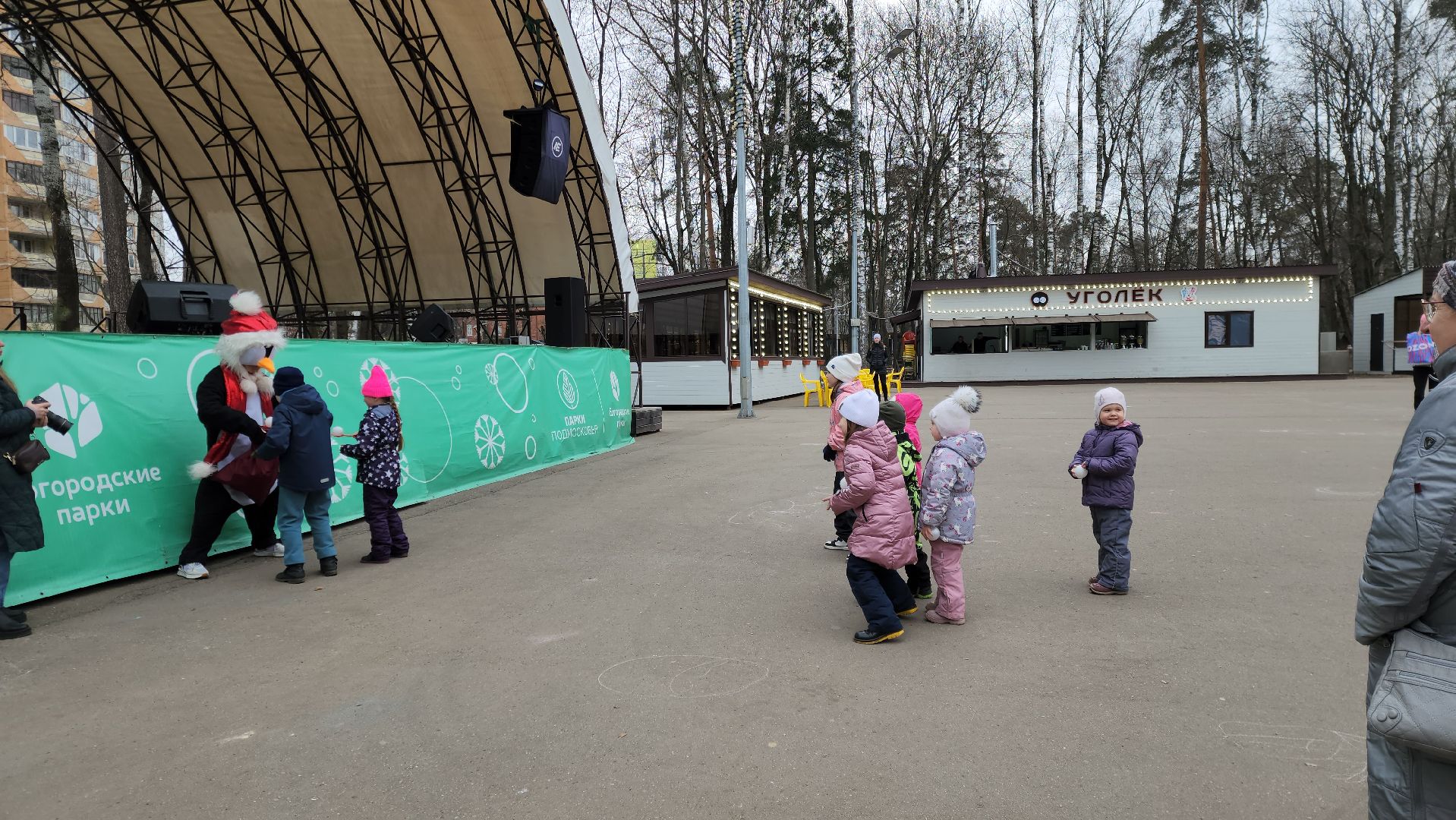 ногинск, парки подмосковья, птица,