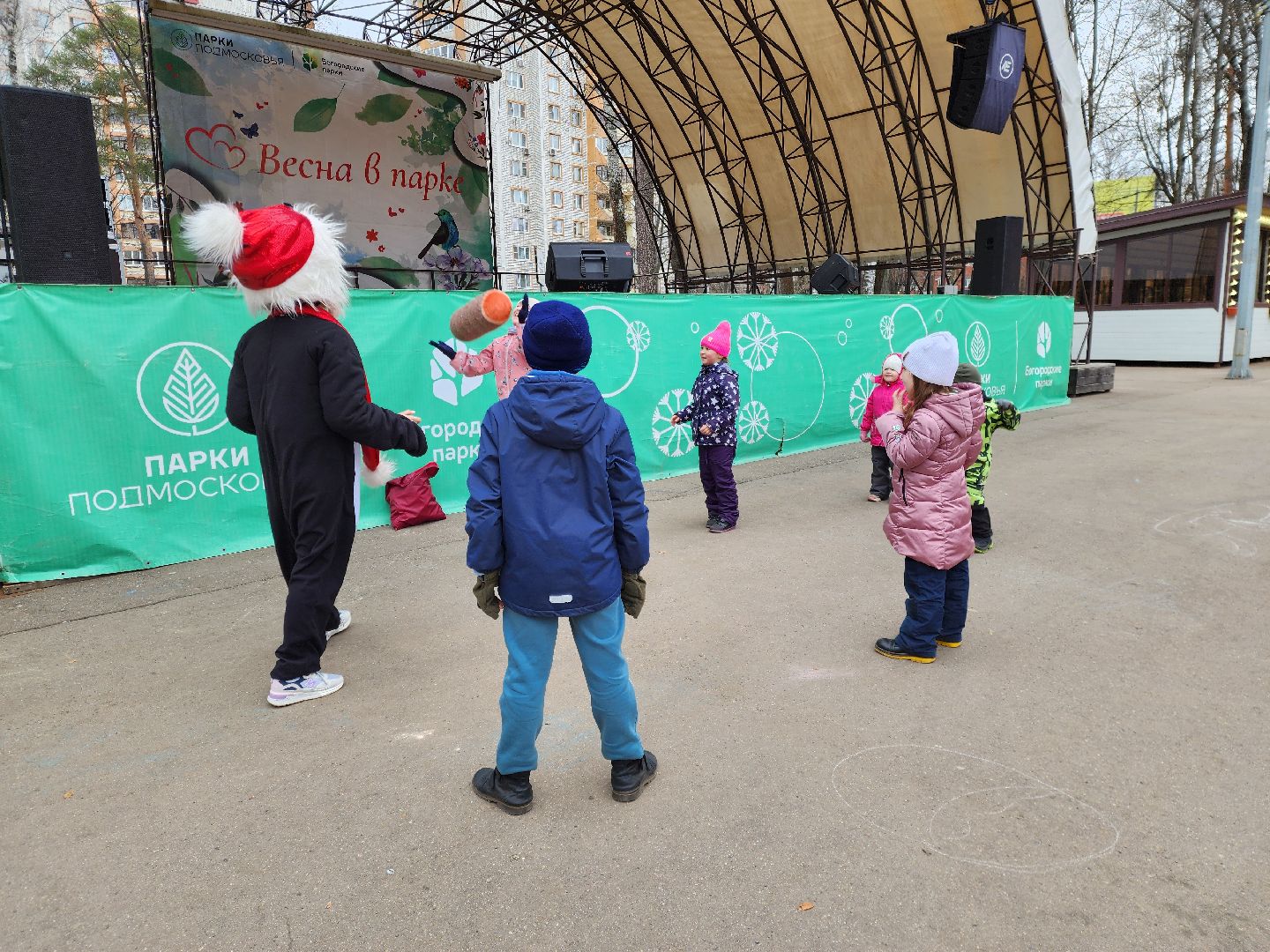 ногинск, парки подмосковья, птица,